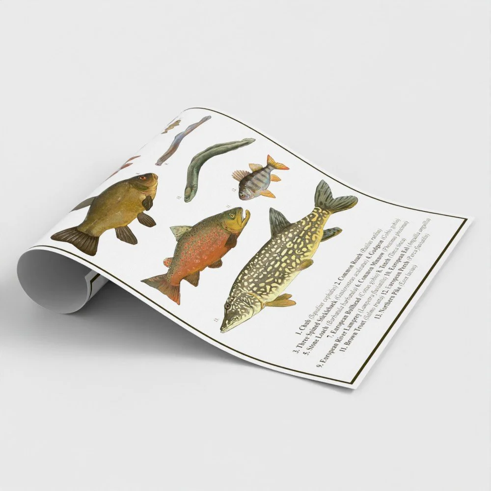 fwfgb1.jpg
