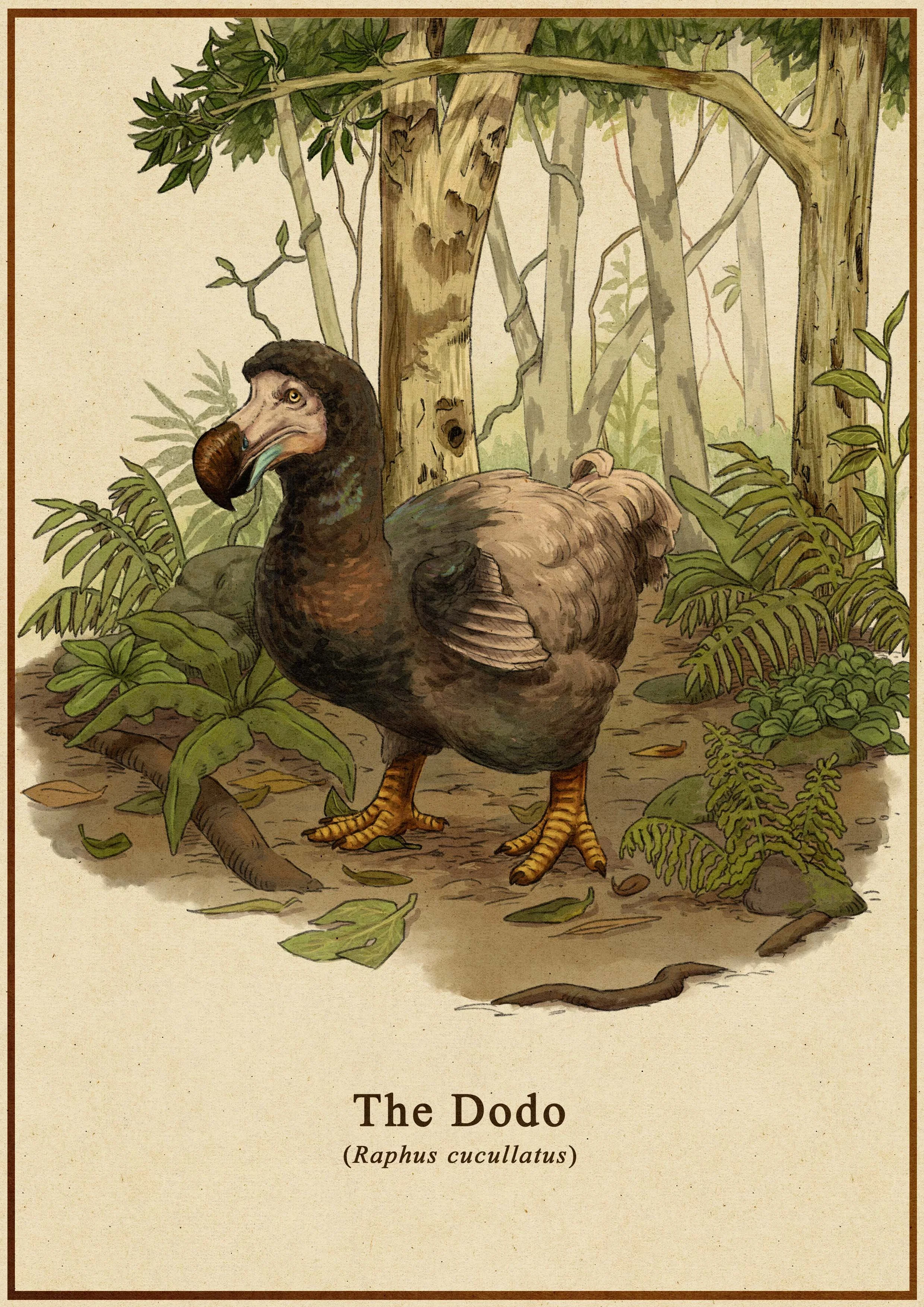 The Dodo