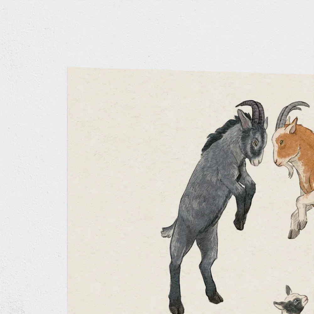 goats2.jpg