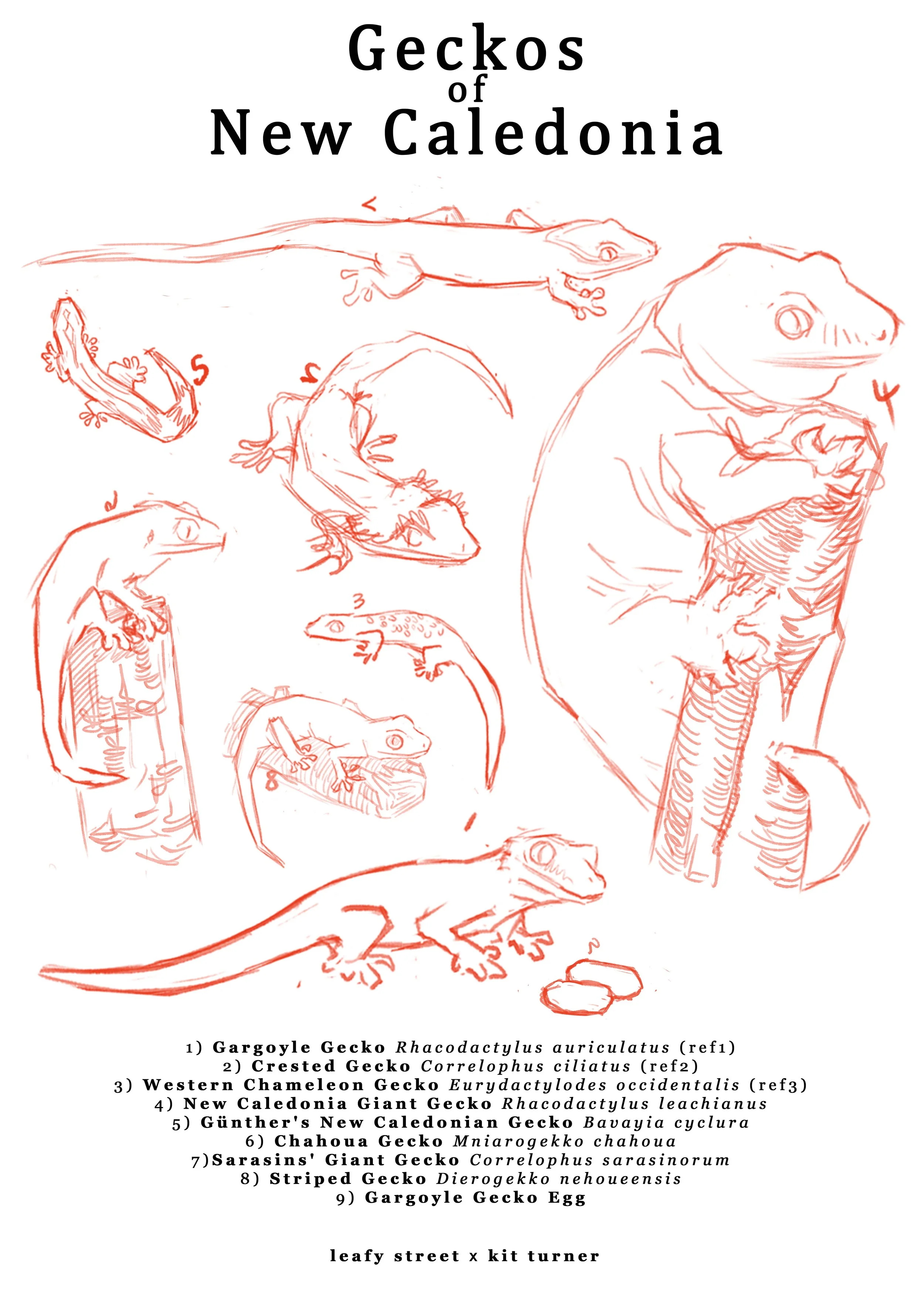 Leafystreet poster.jpg