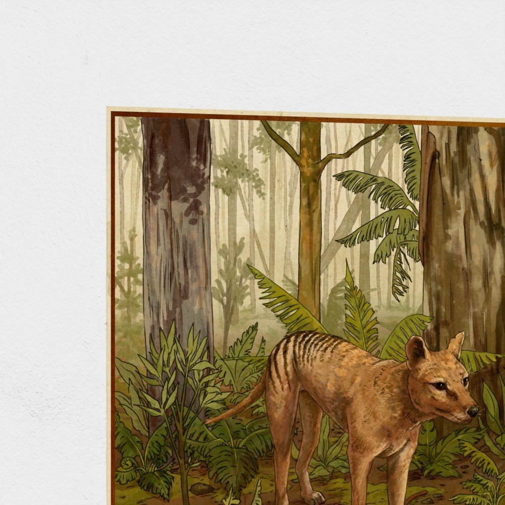 thylacine2.jpg