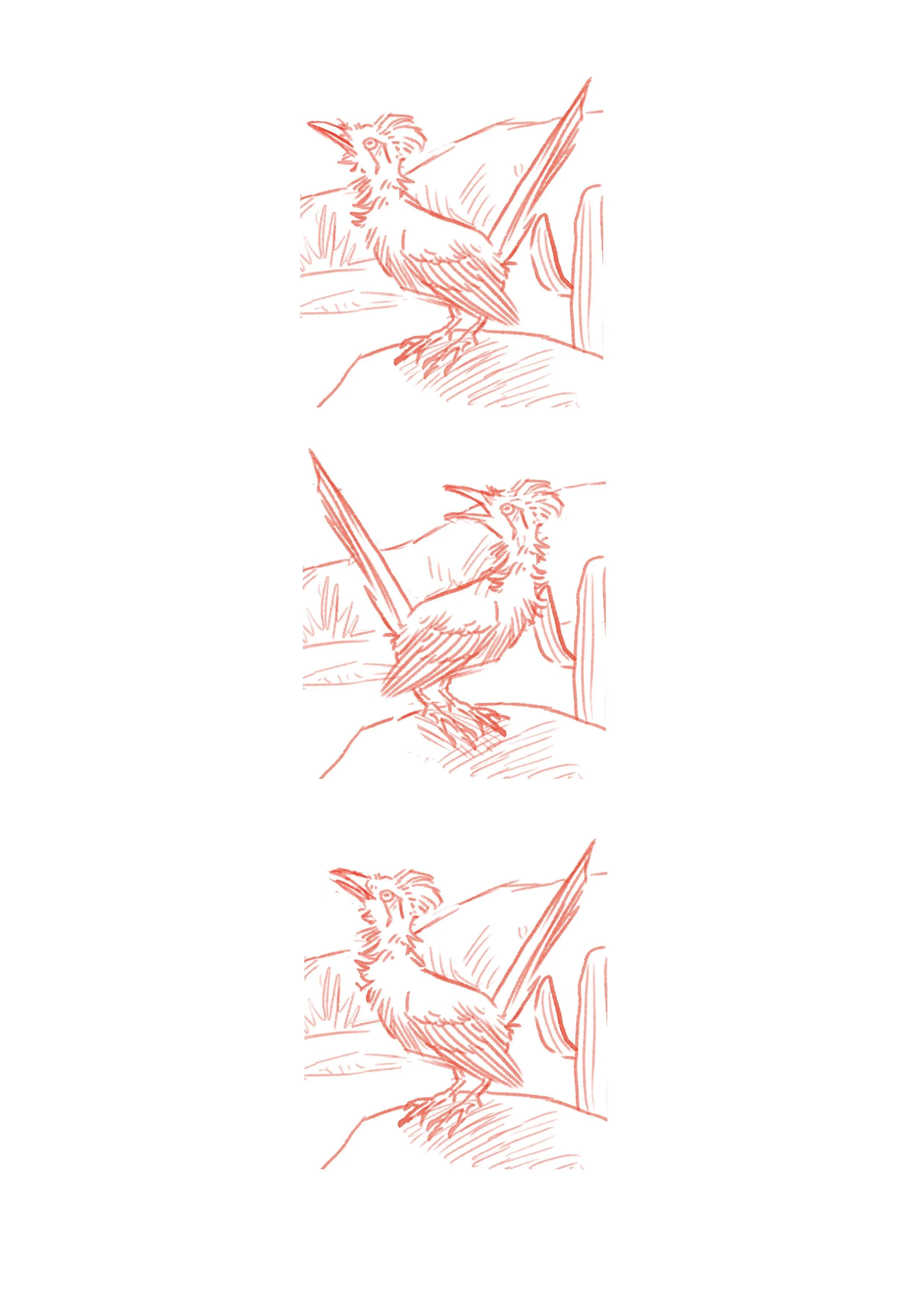 road runner positions.jpg