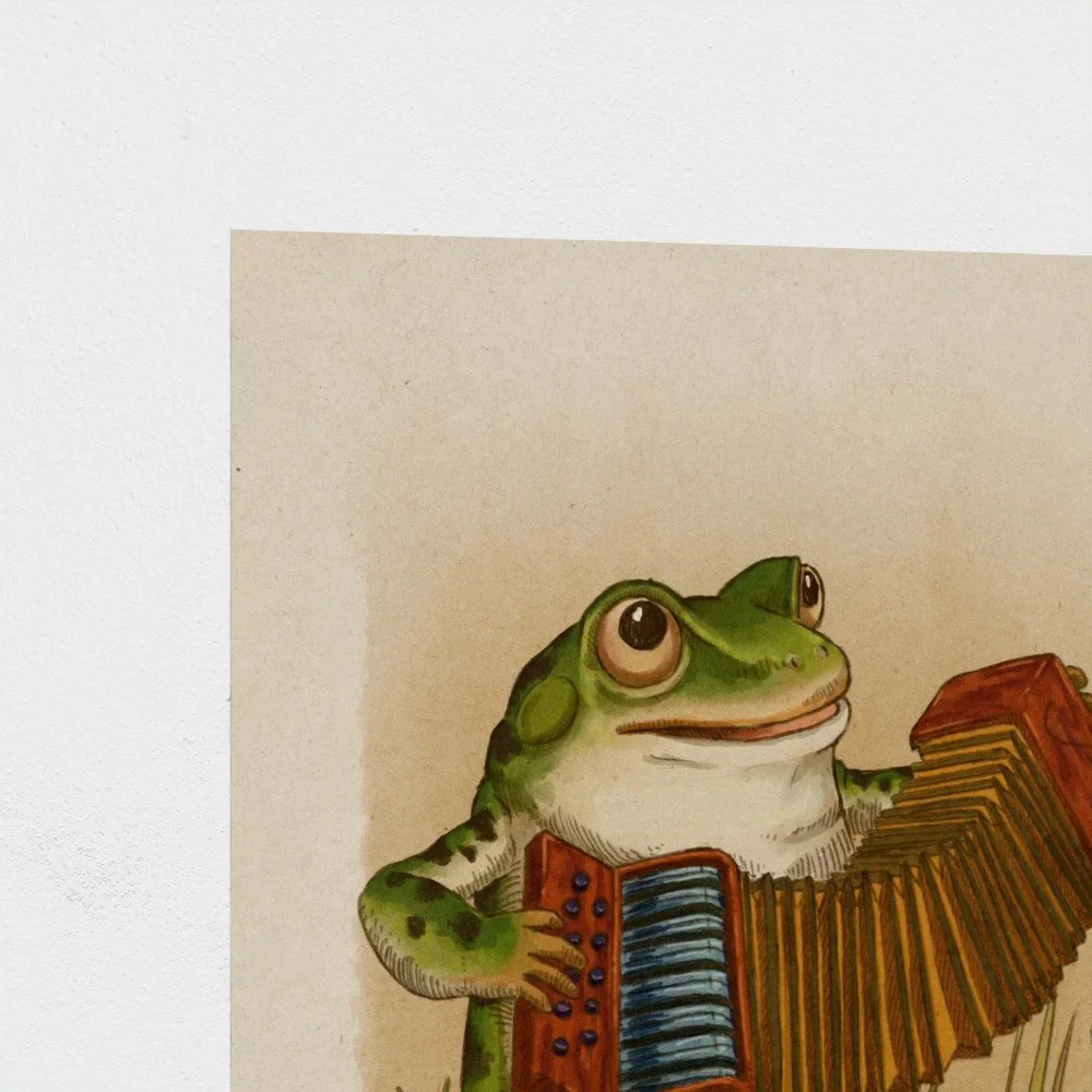 accfrog2.jpg