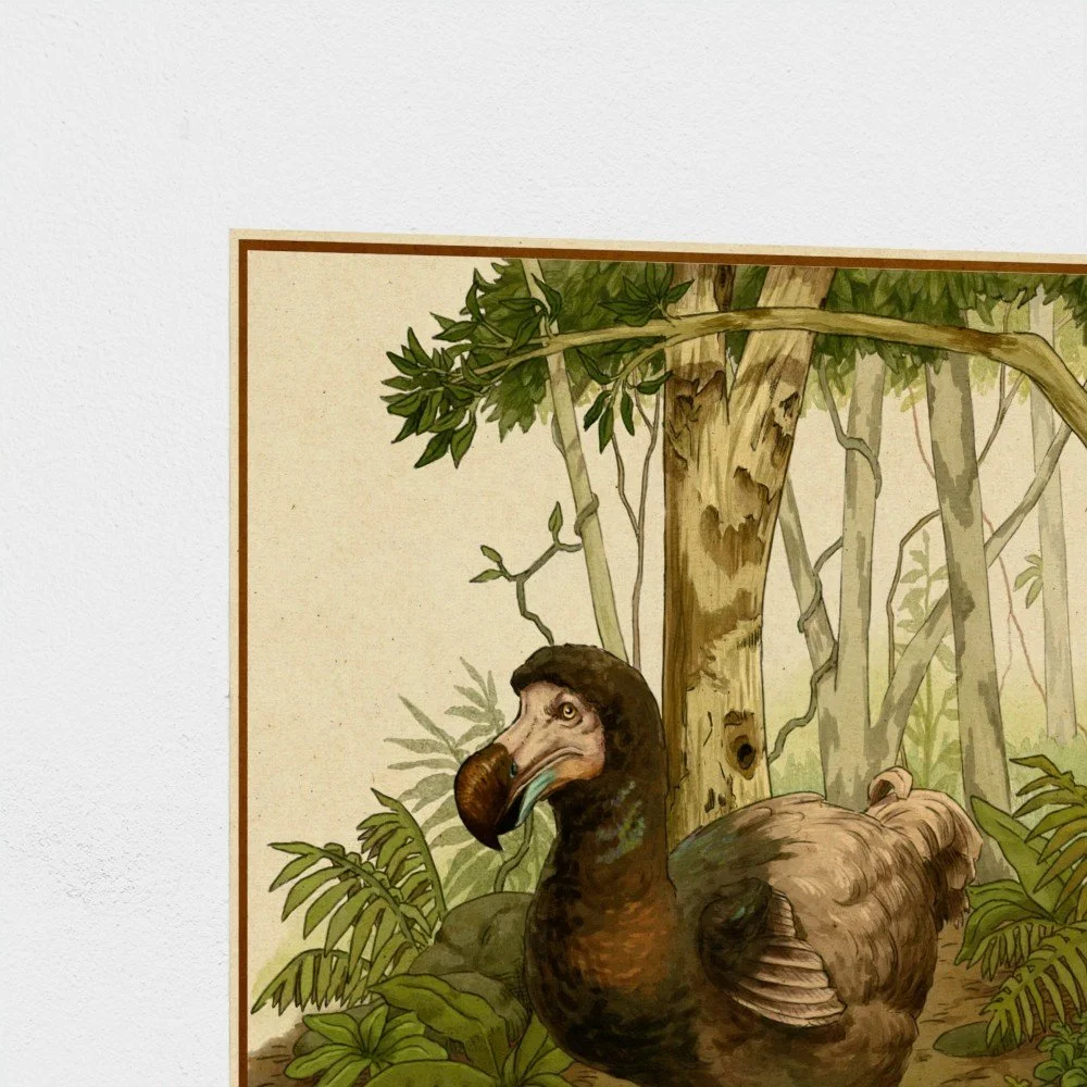 dodo1.jpg