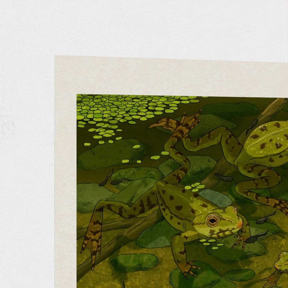 pondfrogs2.jpg