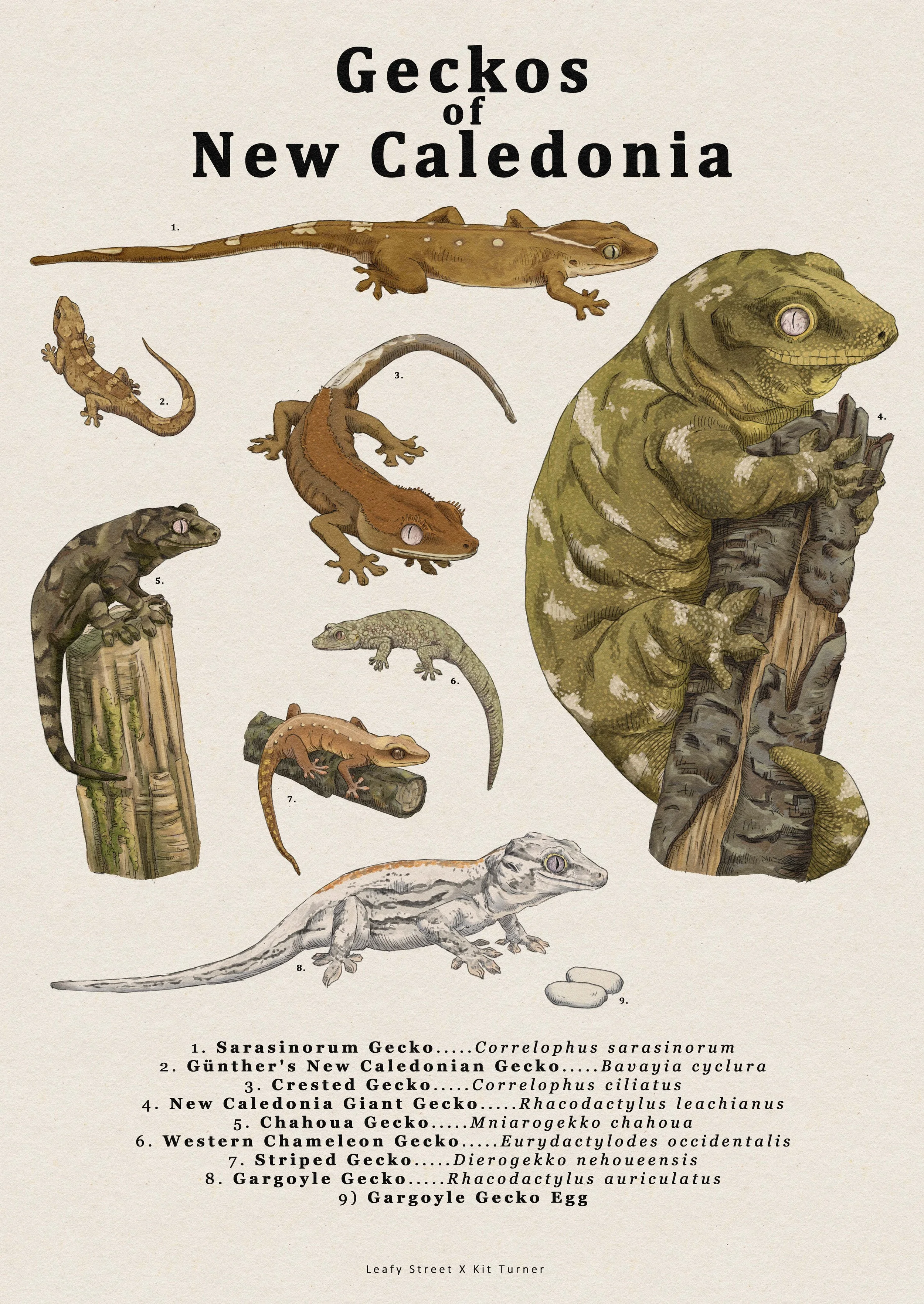 Leafystreet poster 2.jpg