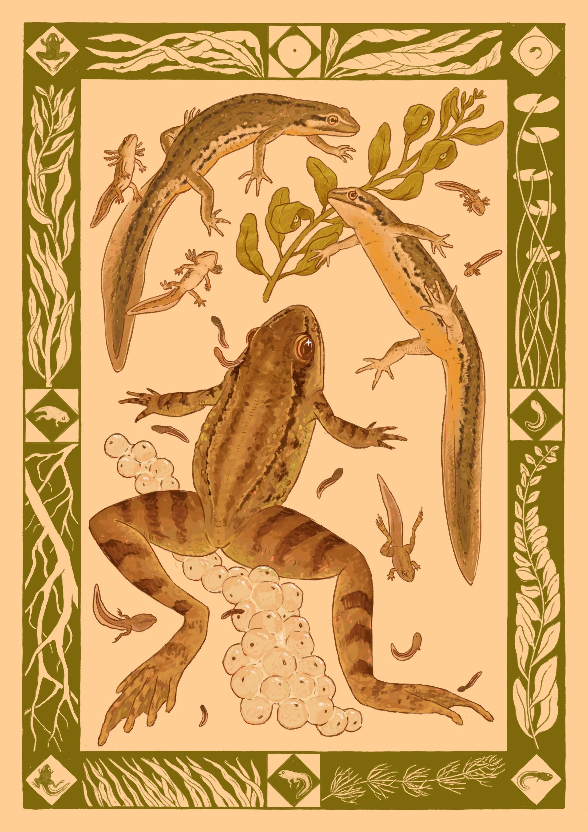 newt pattern.jpg