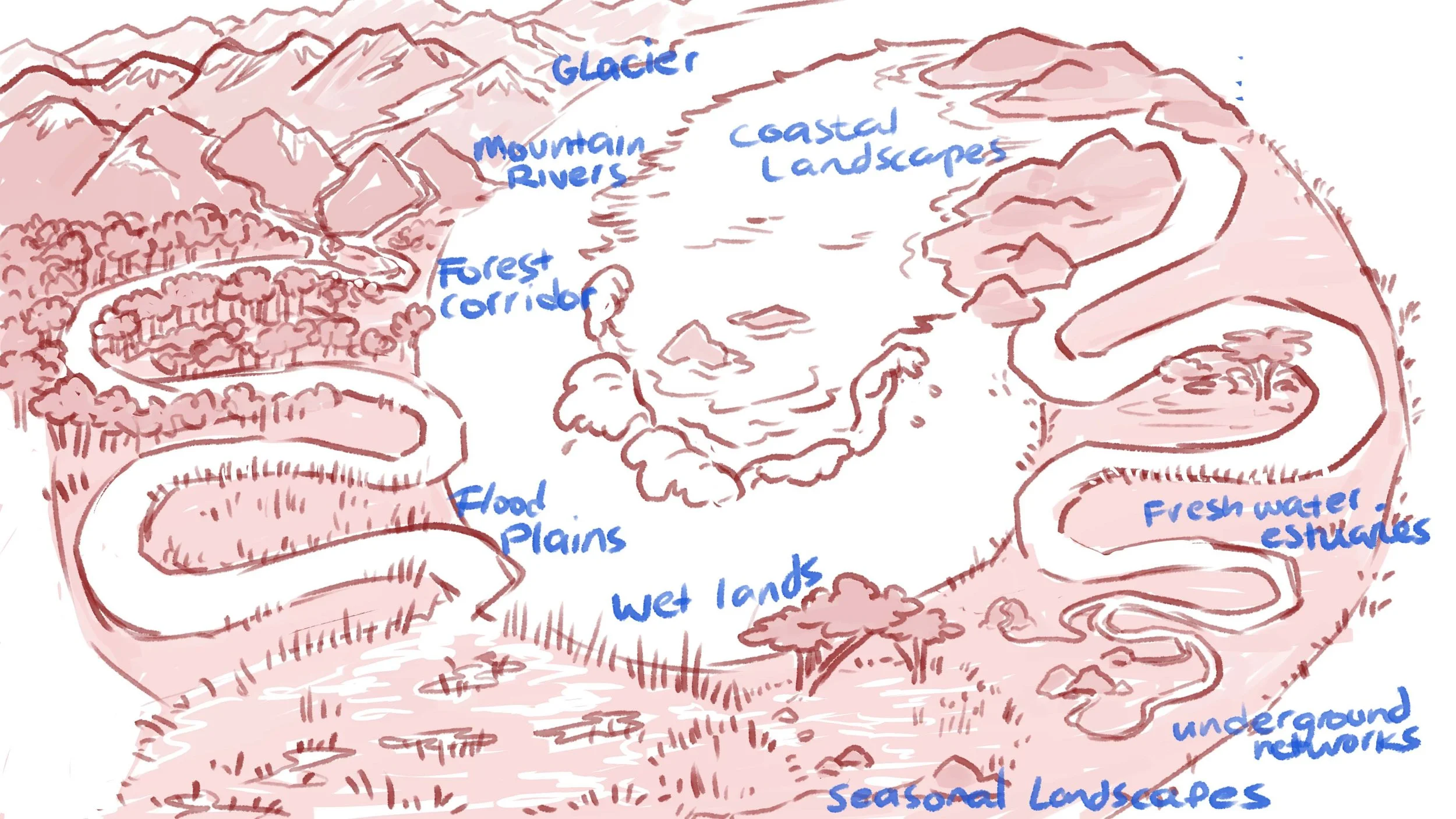 Roughsketch labeled.jpg