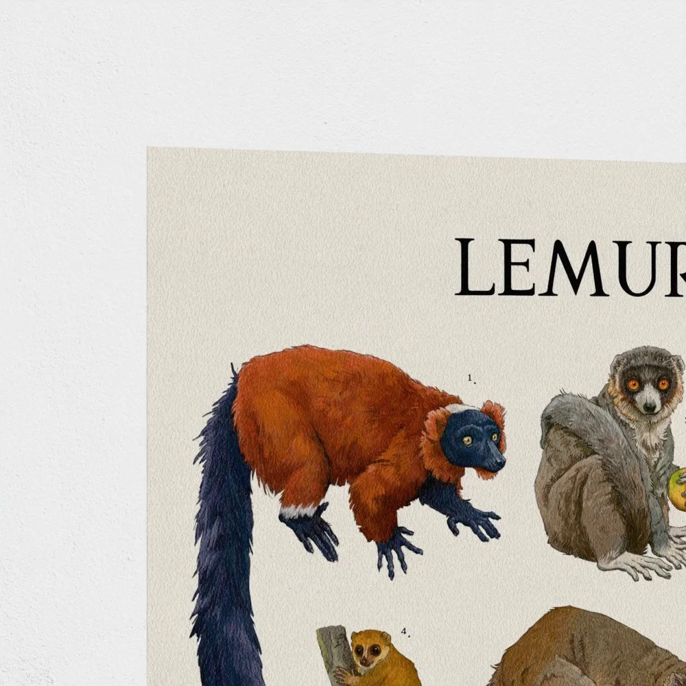 lemur2.jpg