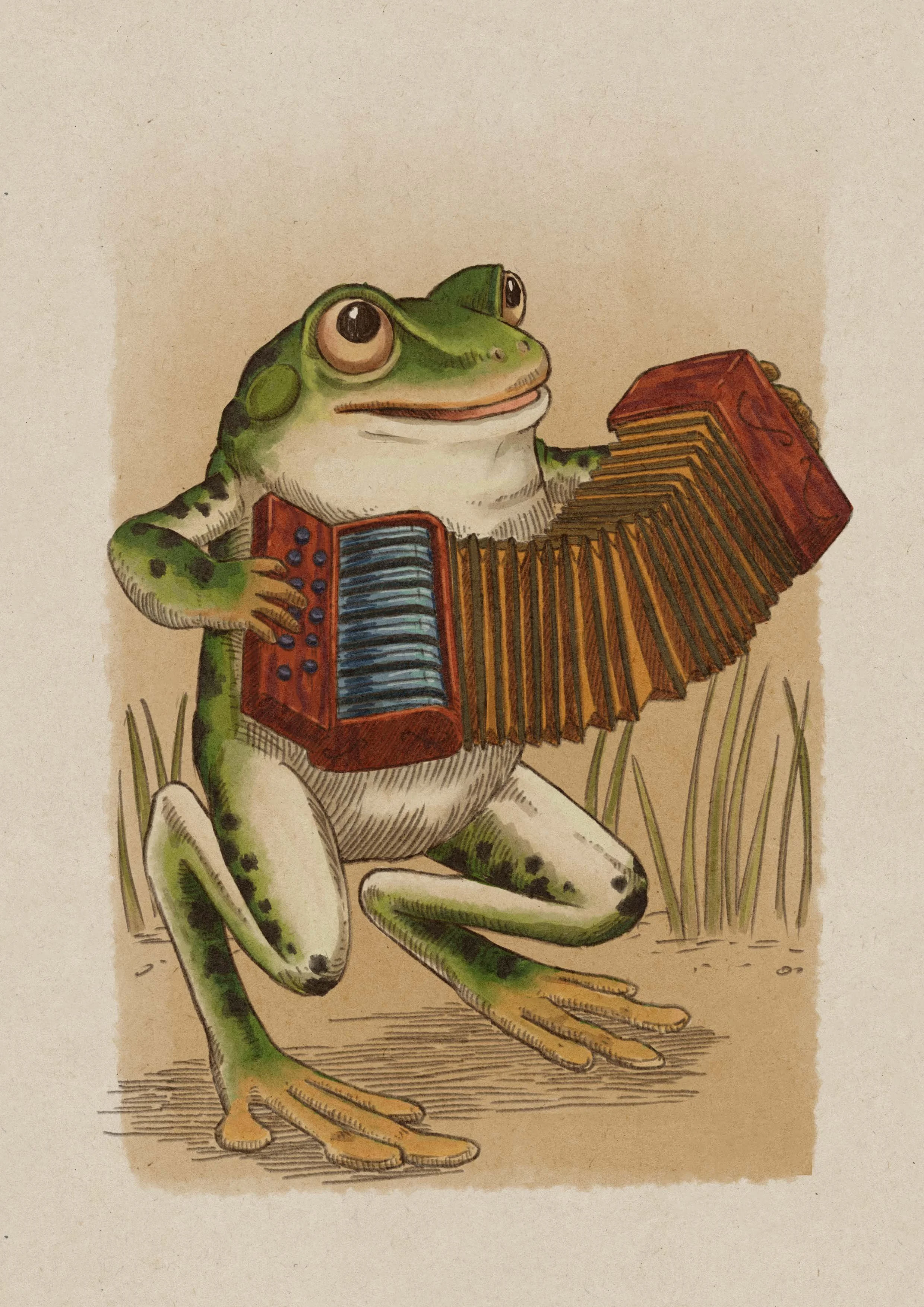 accordion frog.jpg