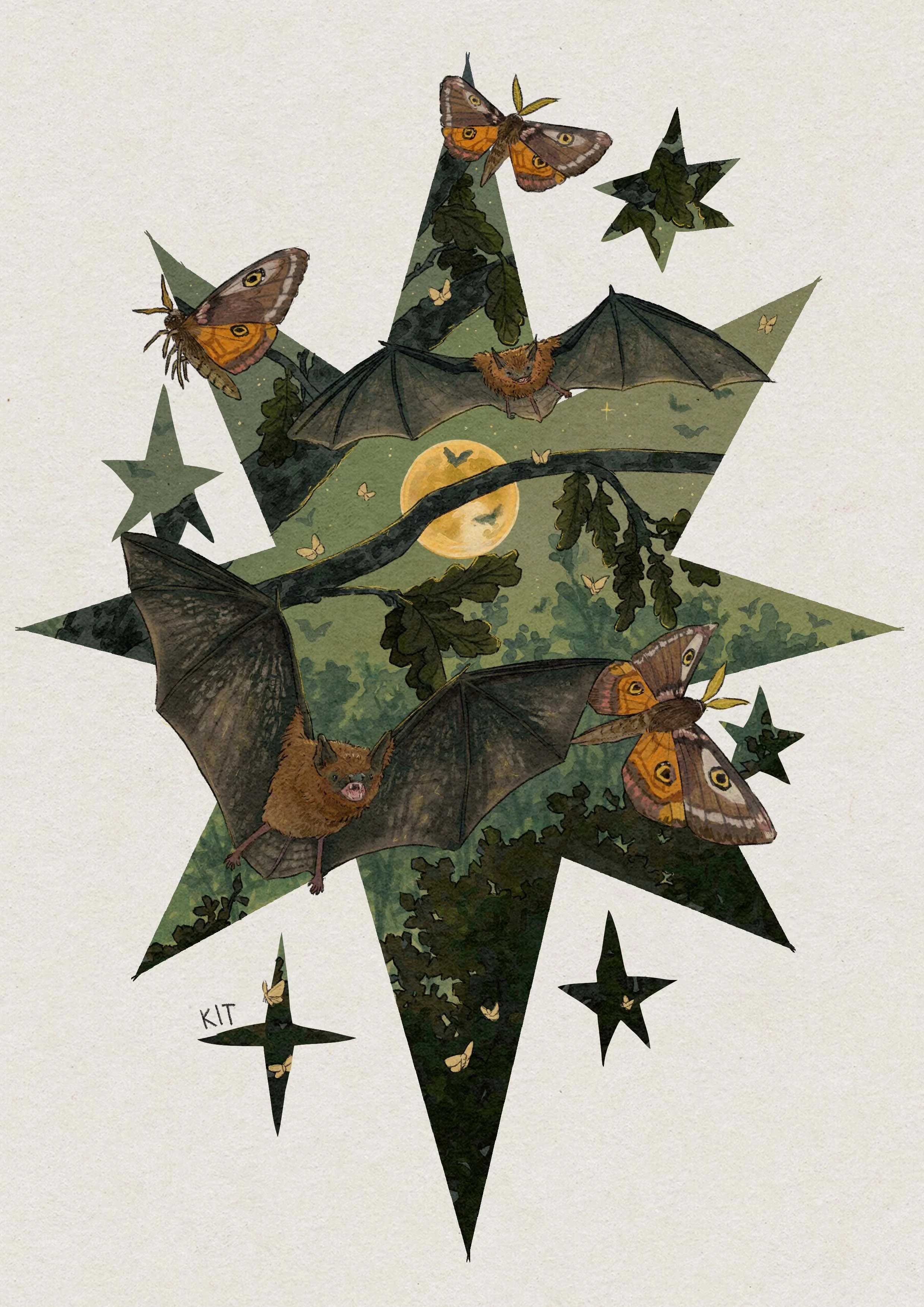 Illustration of bats flying in a night sky with full moon, surrounded by moths and stars, inside a green star-shaped frame.