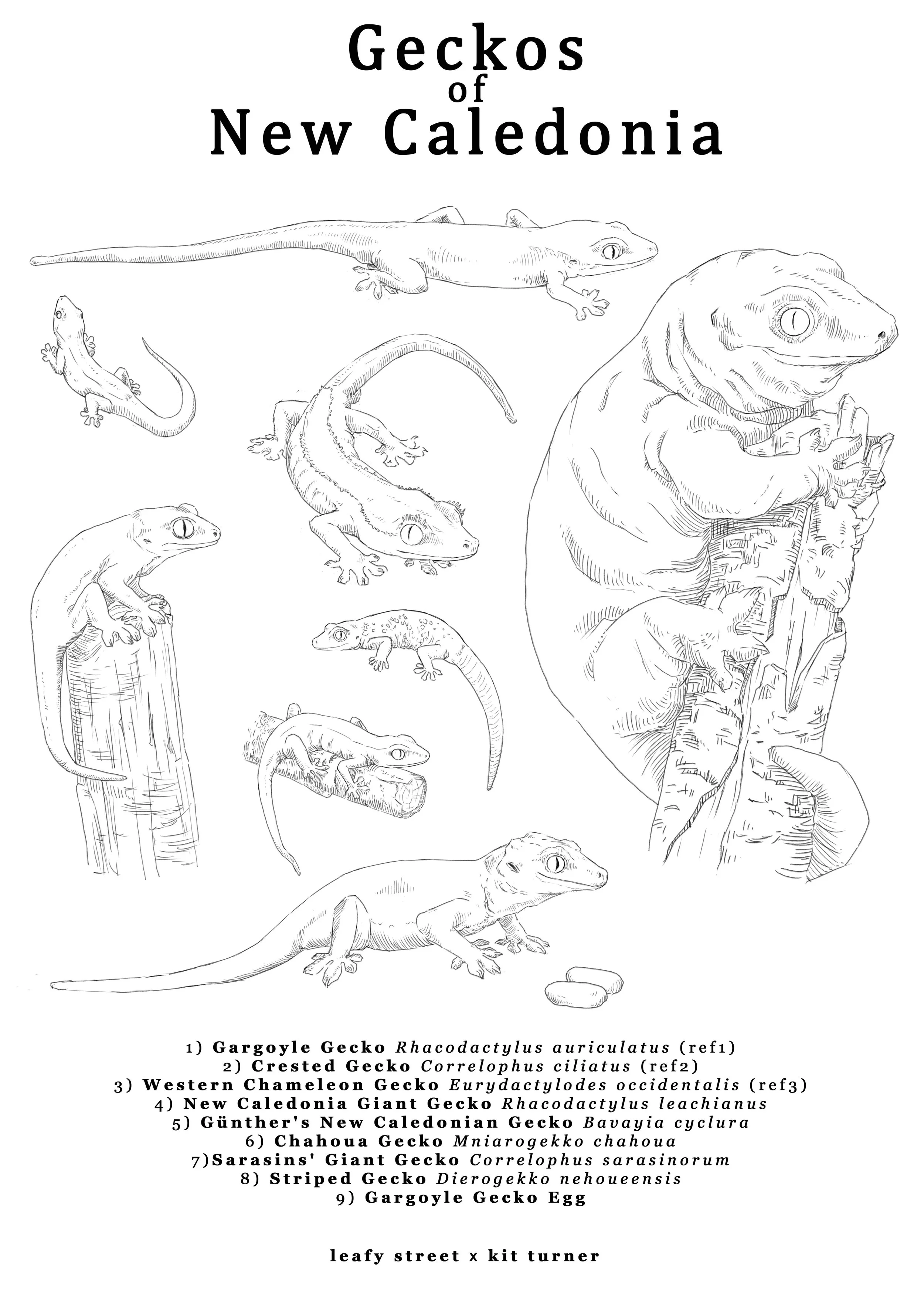 Leafystreet poster lined.jpg