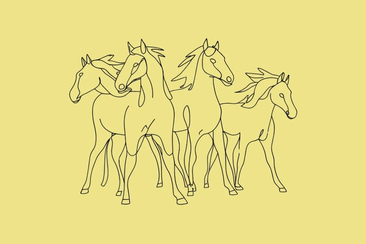 The 4 Horsemen of Relationships: Warning Signs That Predict Relationship Failure