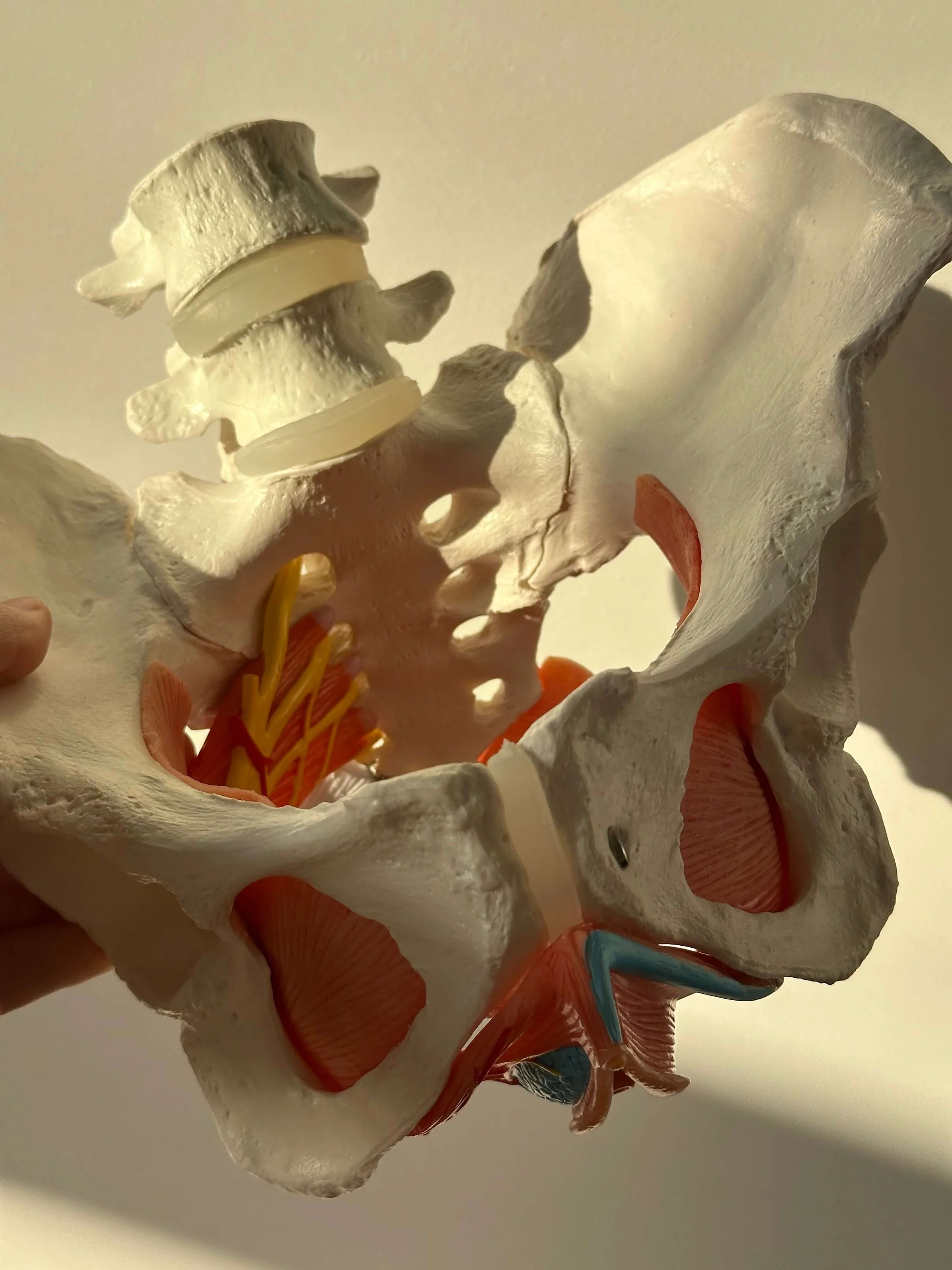 Що входить в курс відновлення