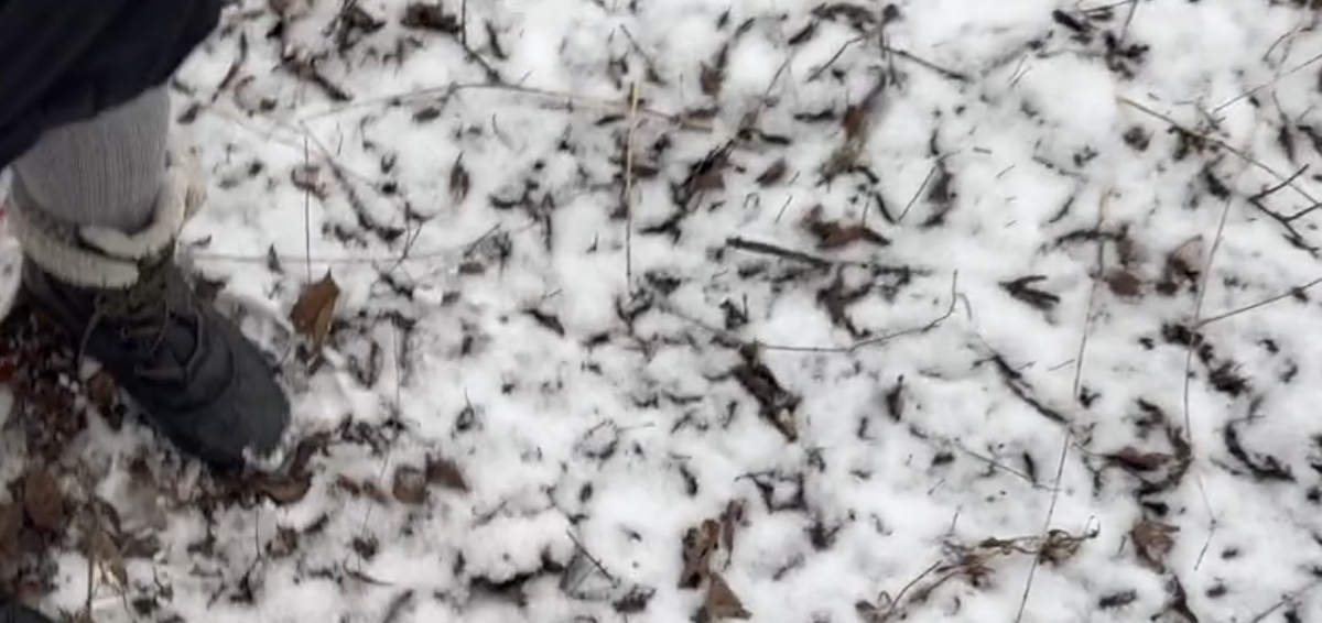 Screen Shot 2025-11-09 at 4.44.48 PM.png