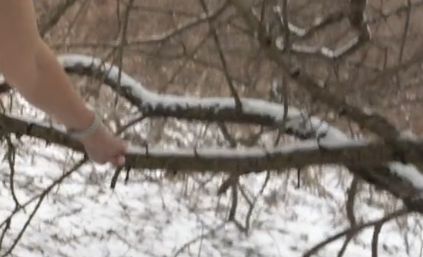 Screen Shot 2025-11-09 at 4.45.17 PM.png