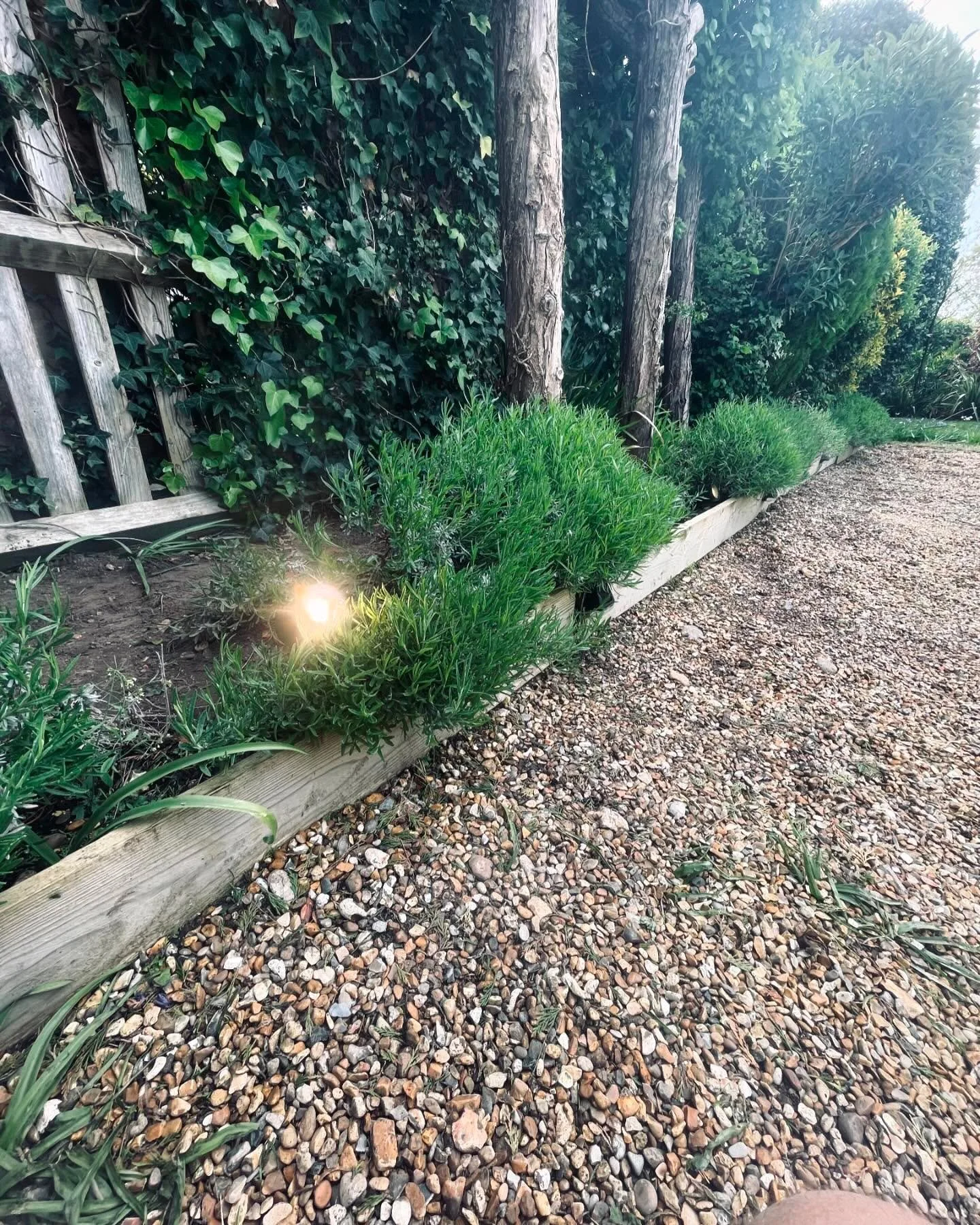 Lovely little front garden lighting job this morning, client wanted to have their drive way well lit during the evenings. 

Get in contact if you too would like any of the work seen in this post!