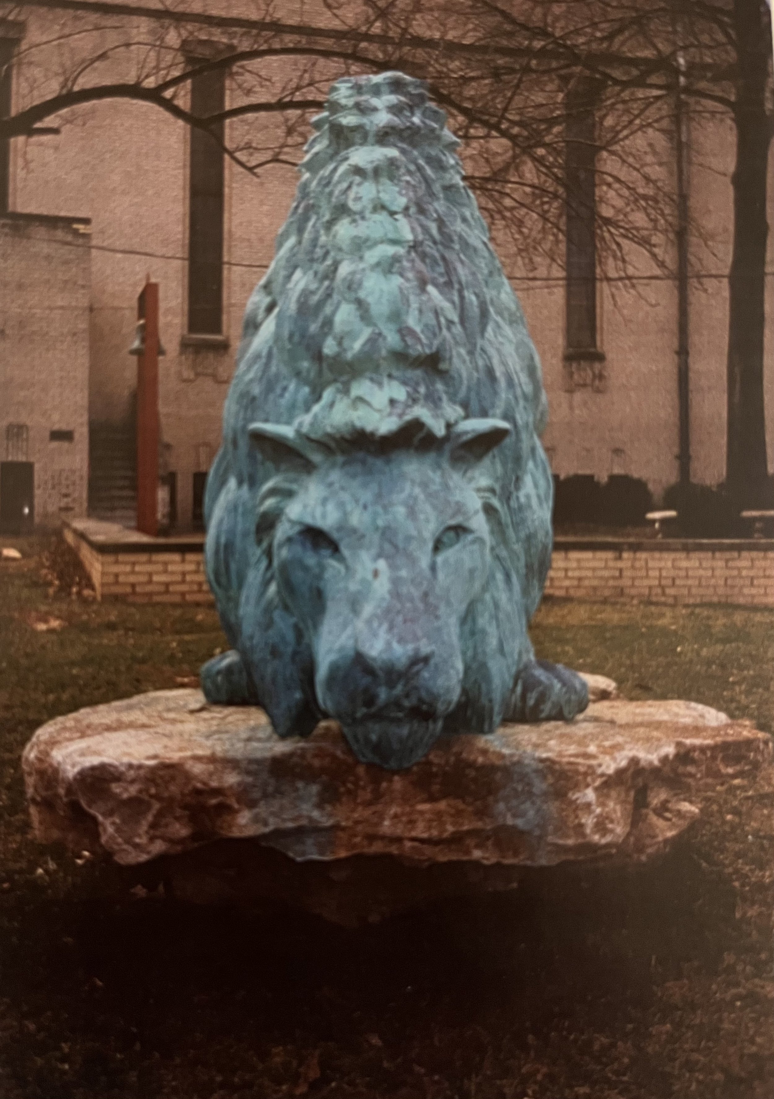 Lion1.jpeg