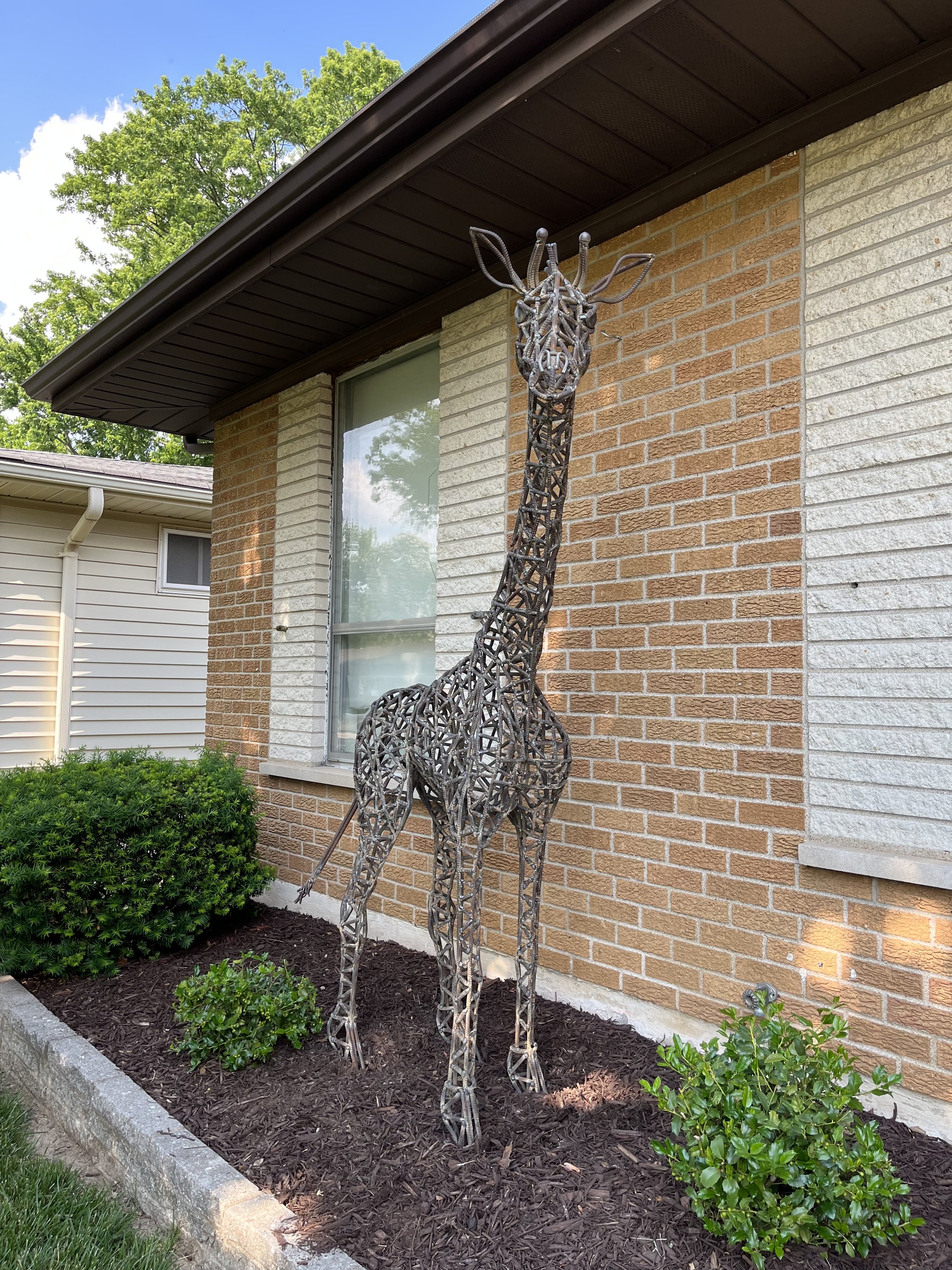 Sgiraffe3.jpeg