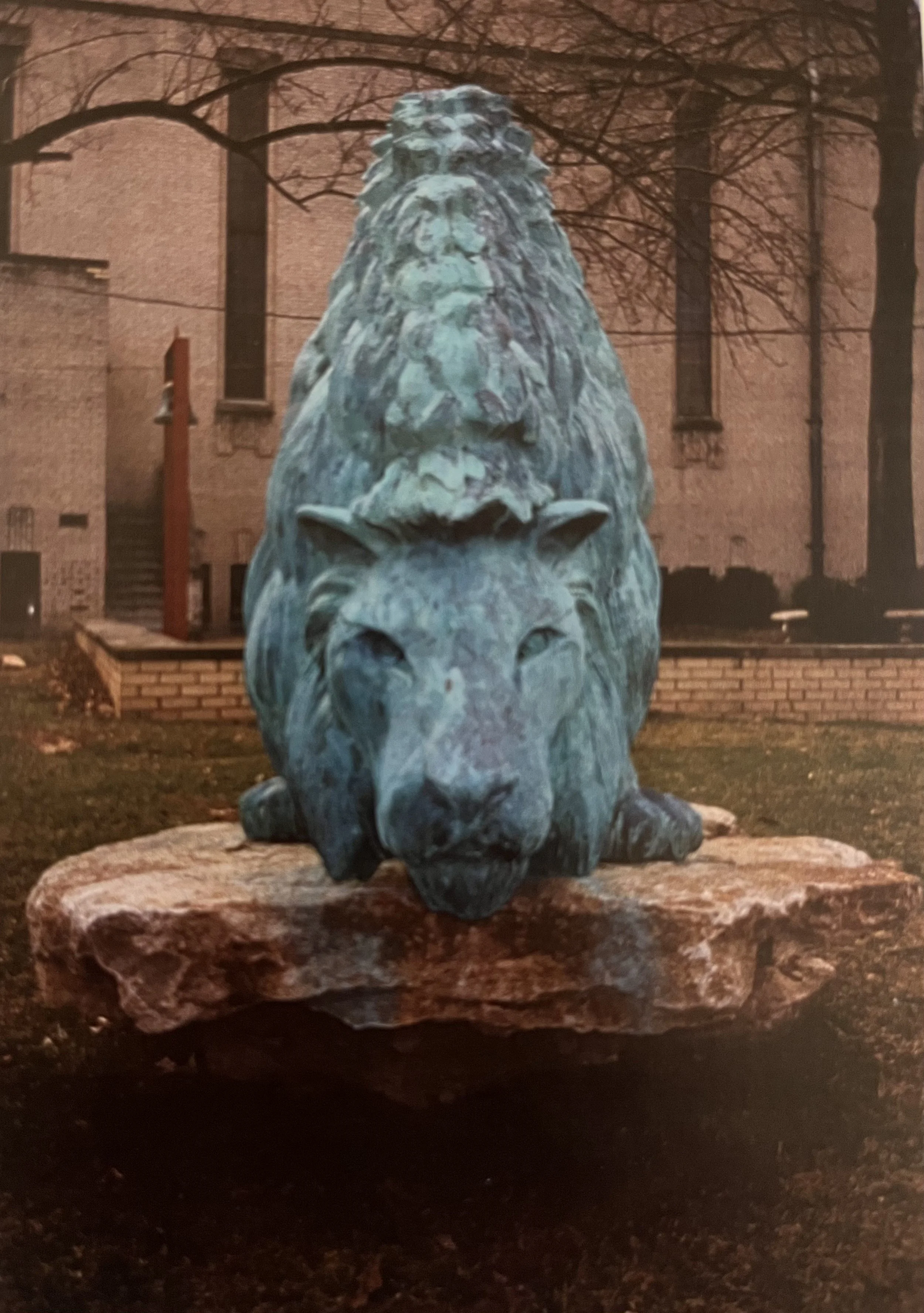 Lion1.jpeg