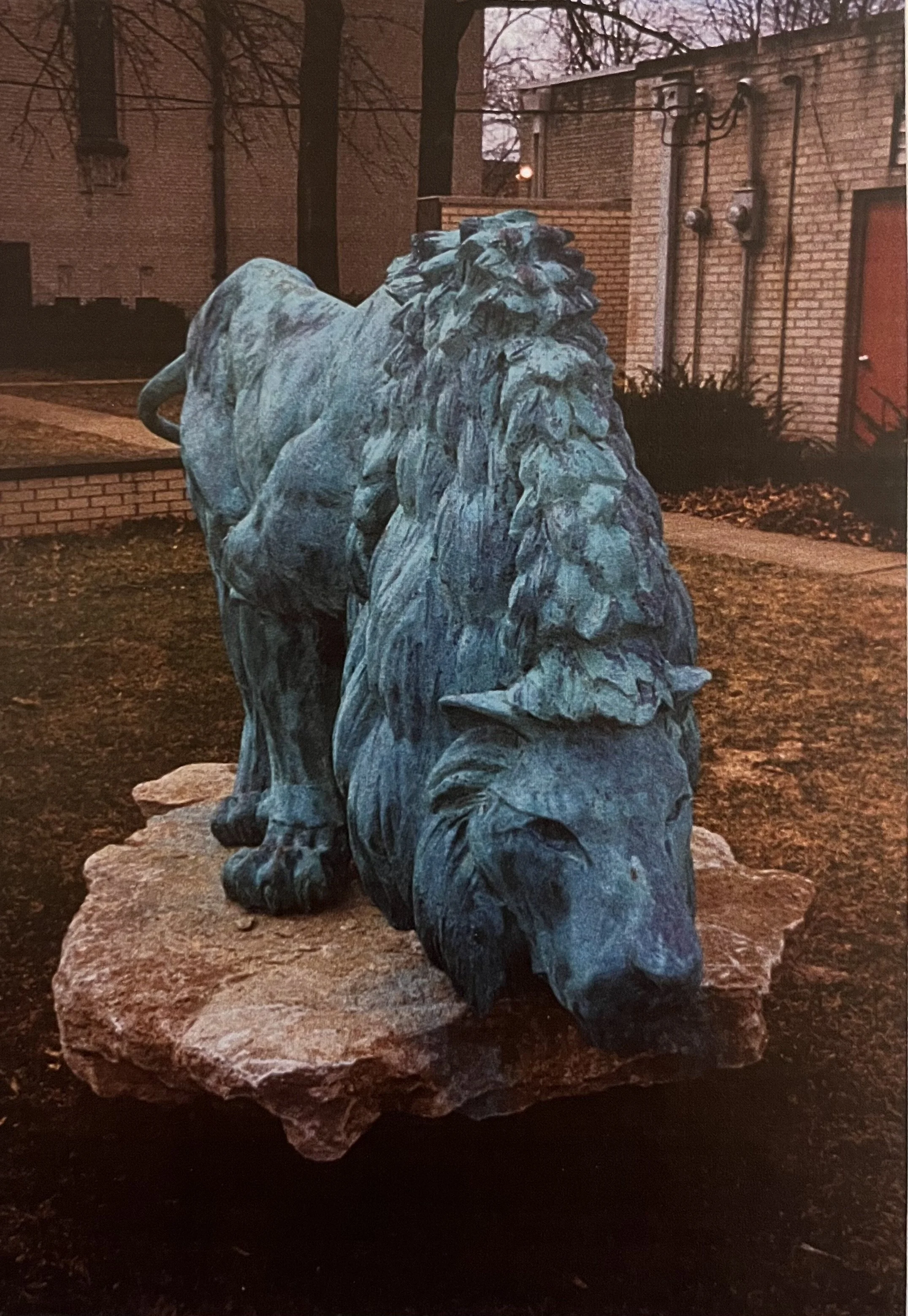 Lion3.jpeg