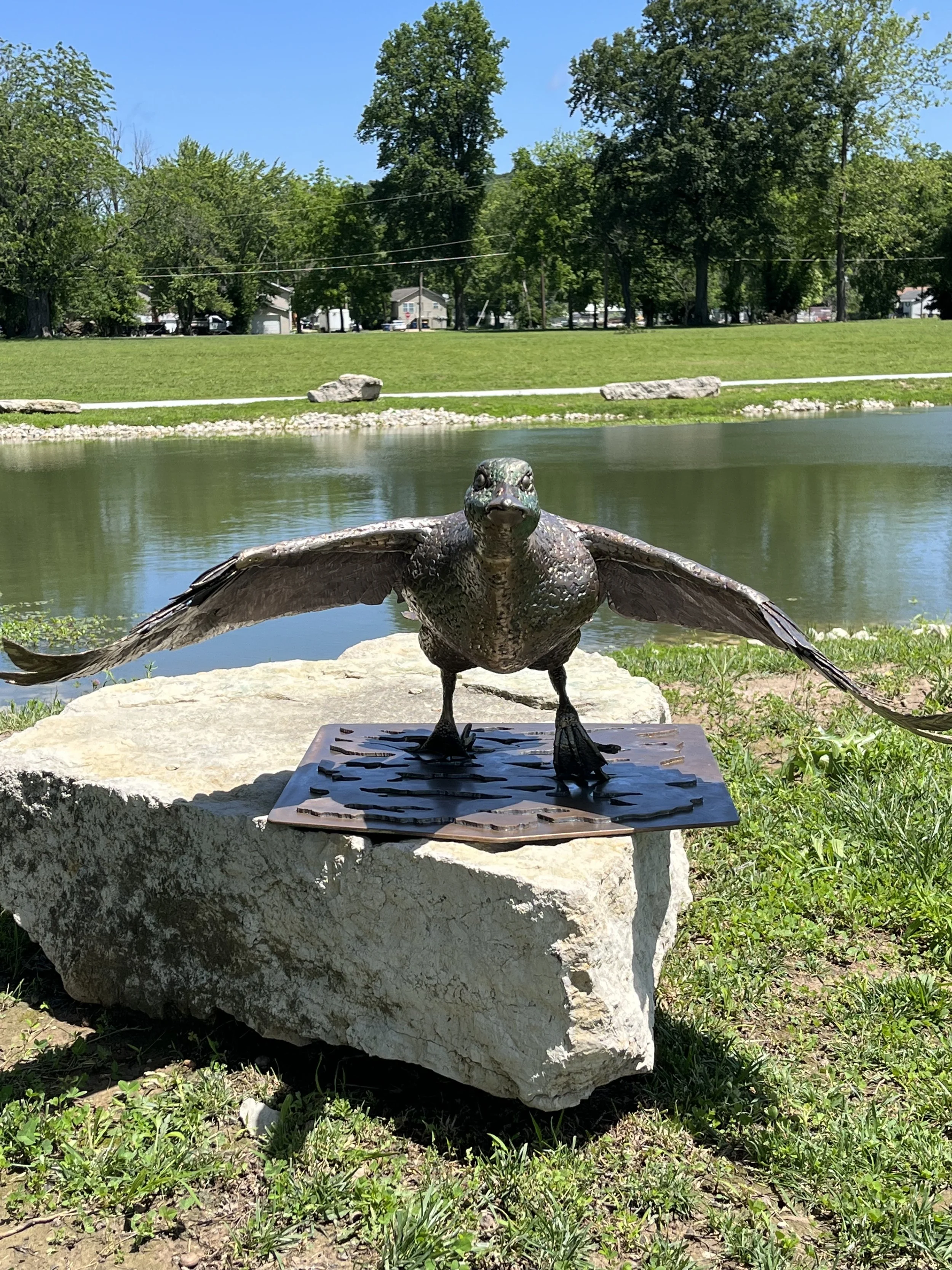 Duck1.jpeg