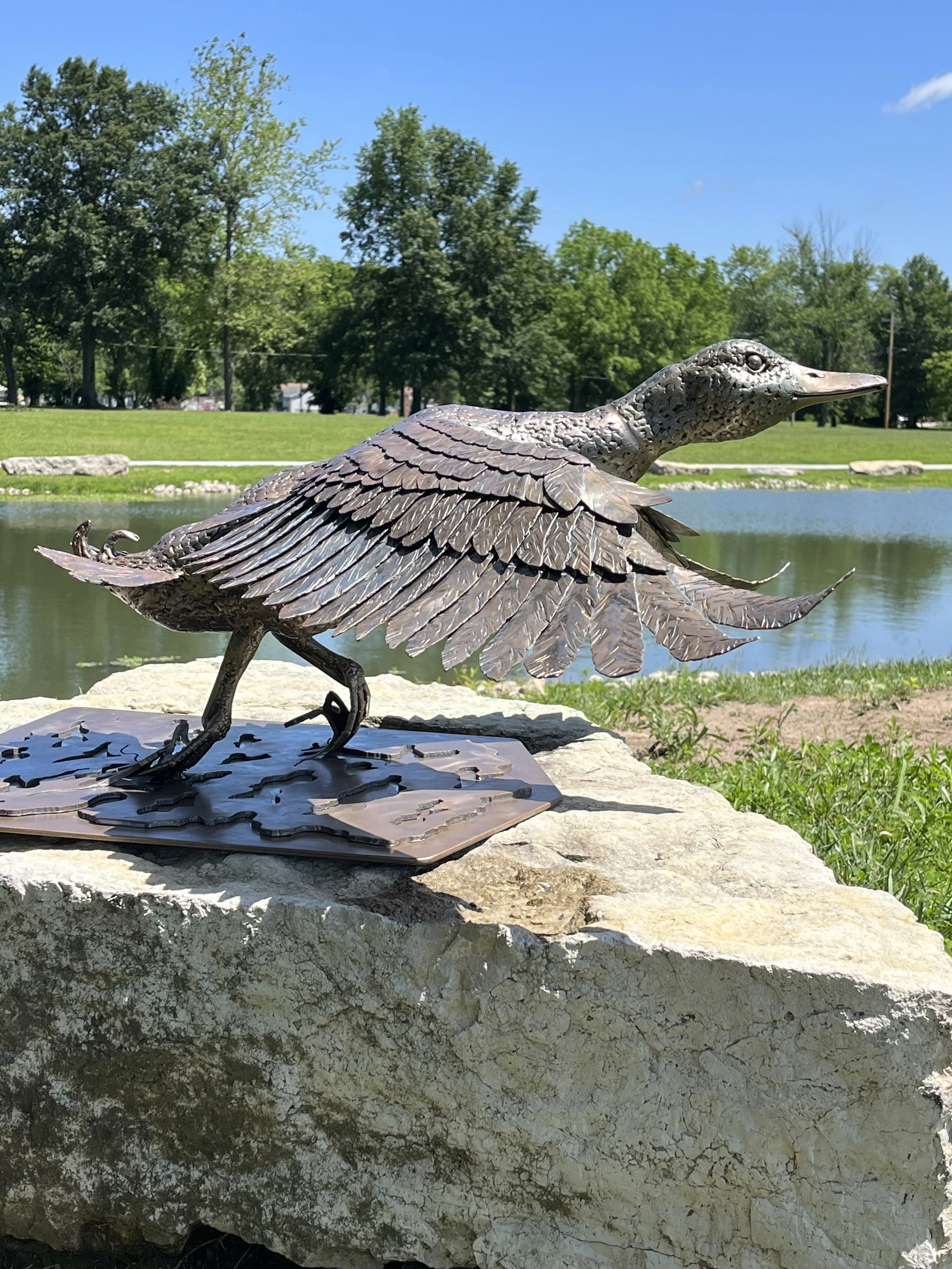 Duck2.jpeg