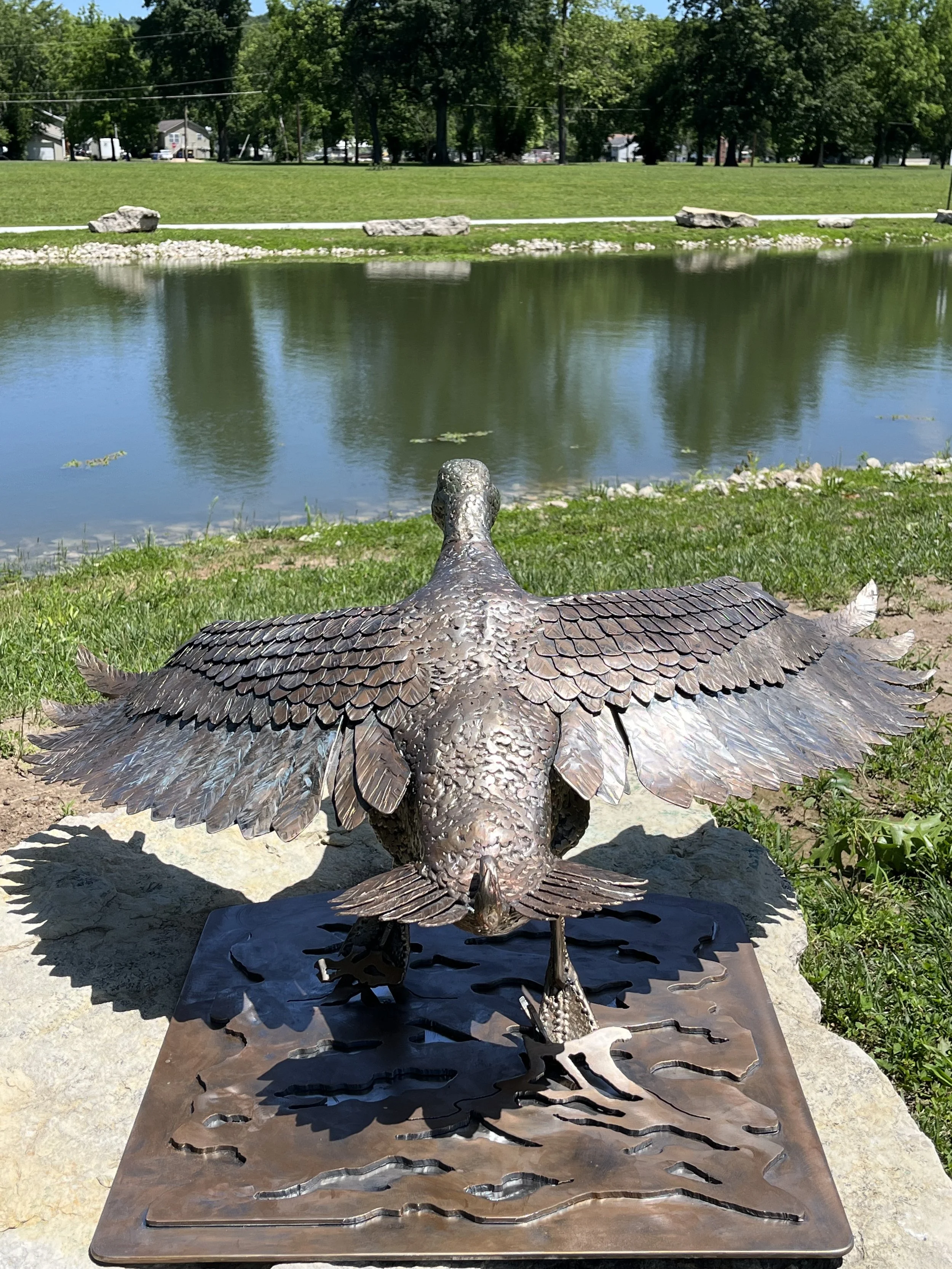 Duck3.jpeg