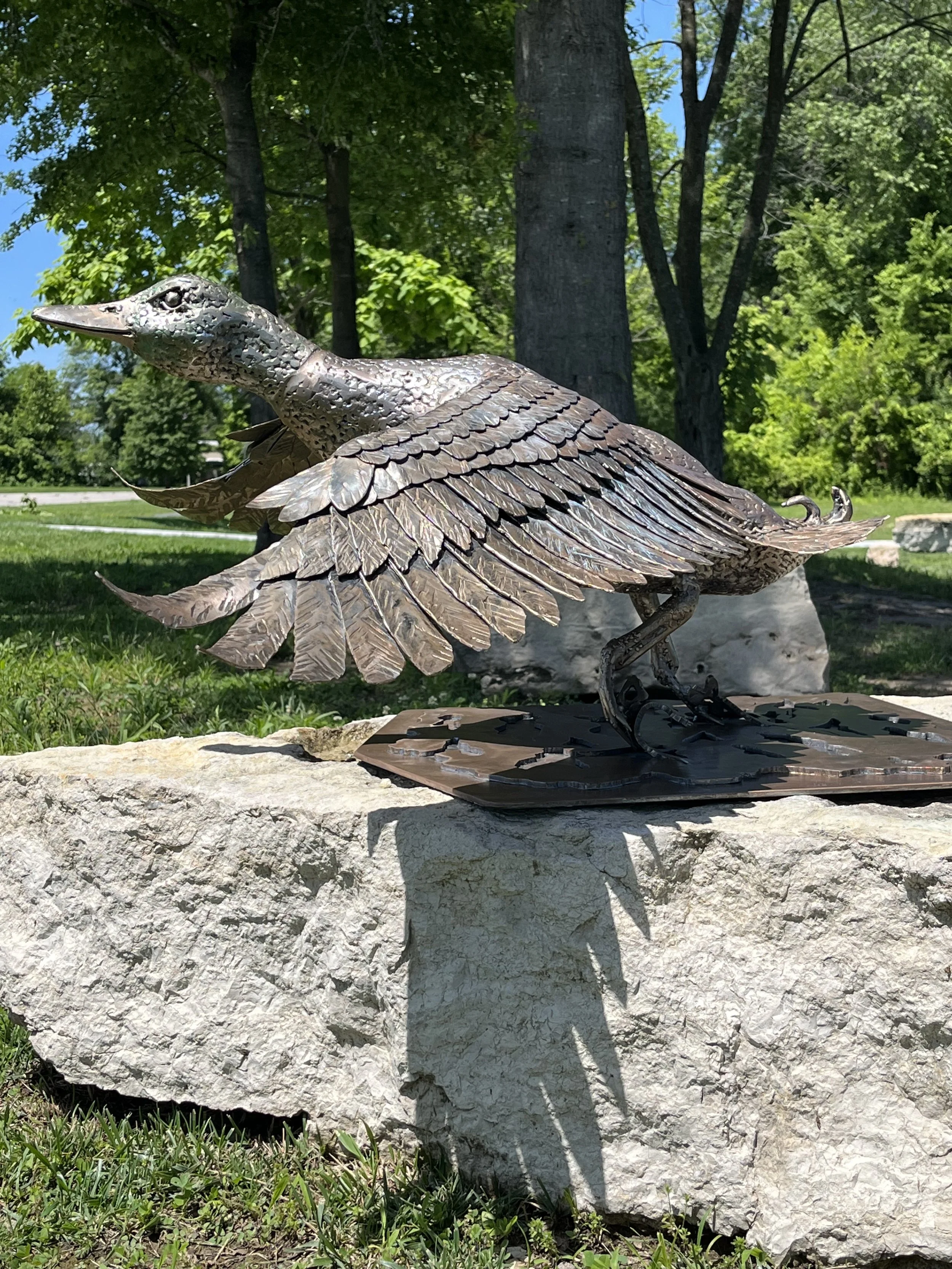 Duck4.jpeg
