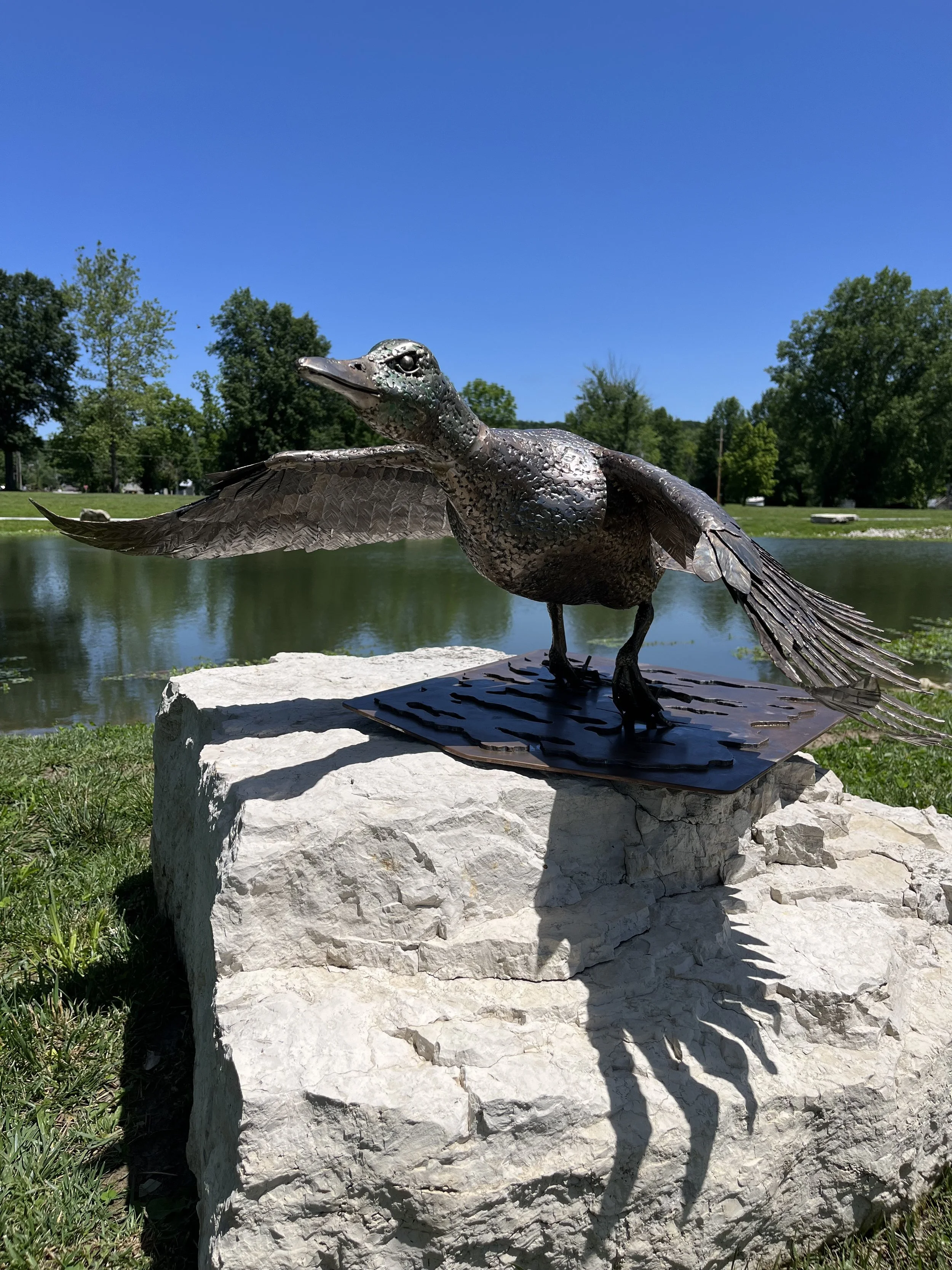 Duck5.jpeg