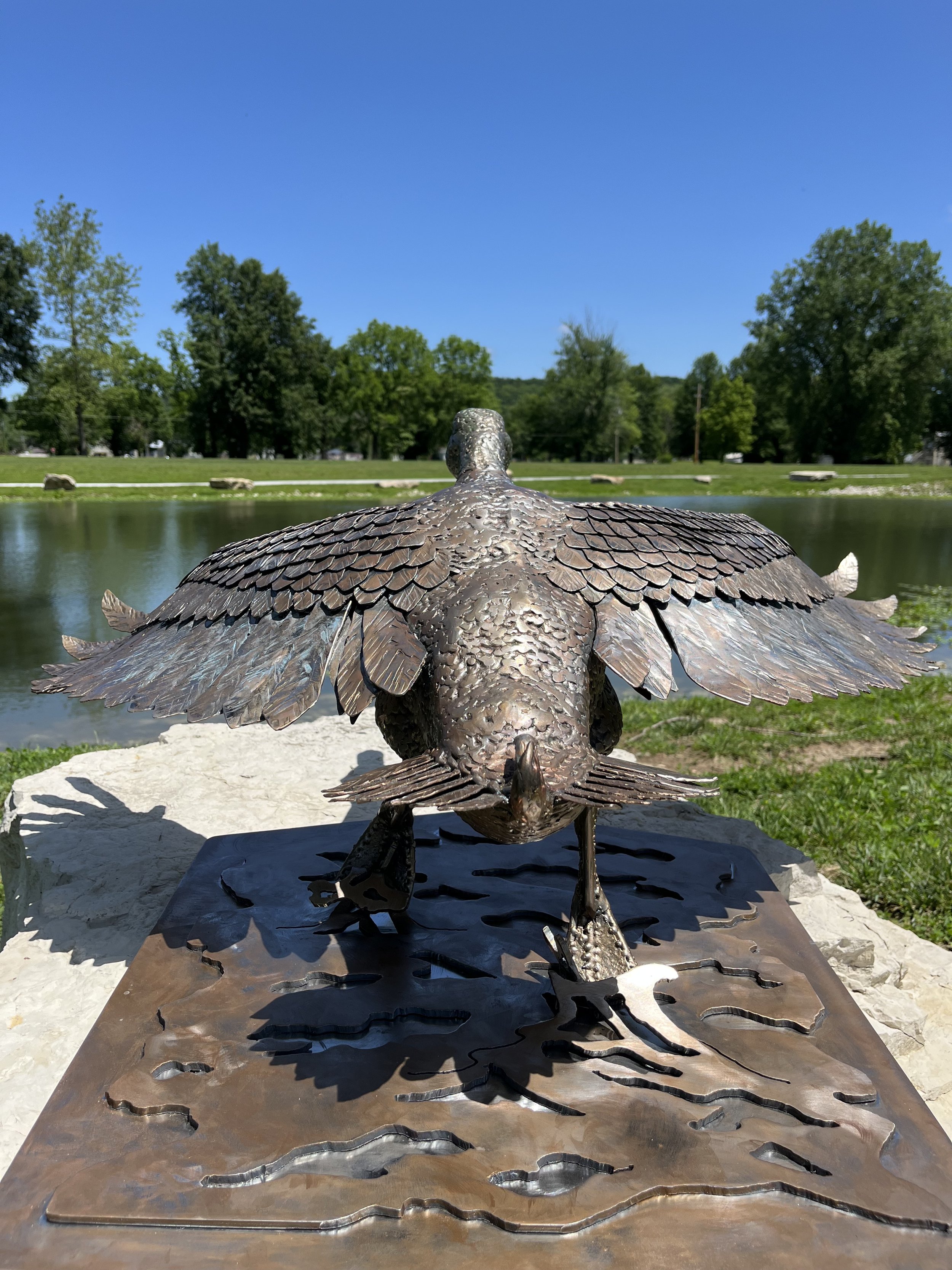 Duck6.jpeg