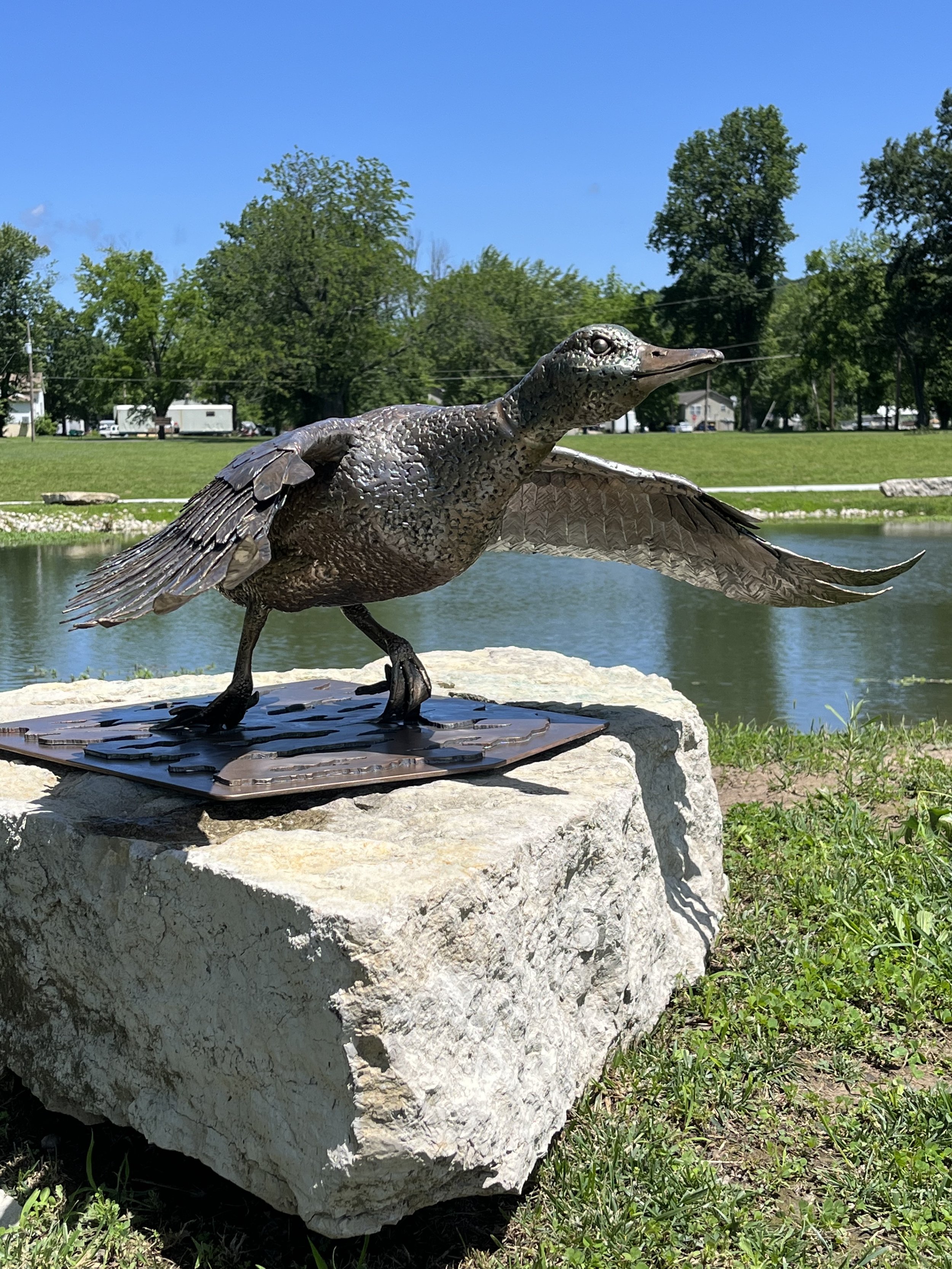 Duck7.jpeg