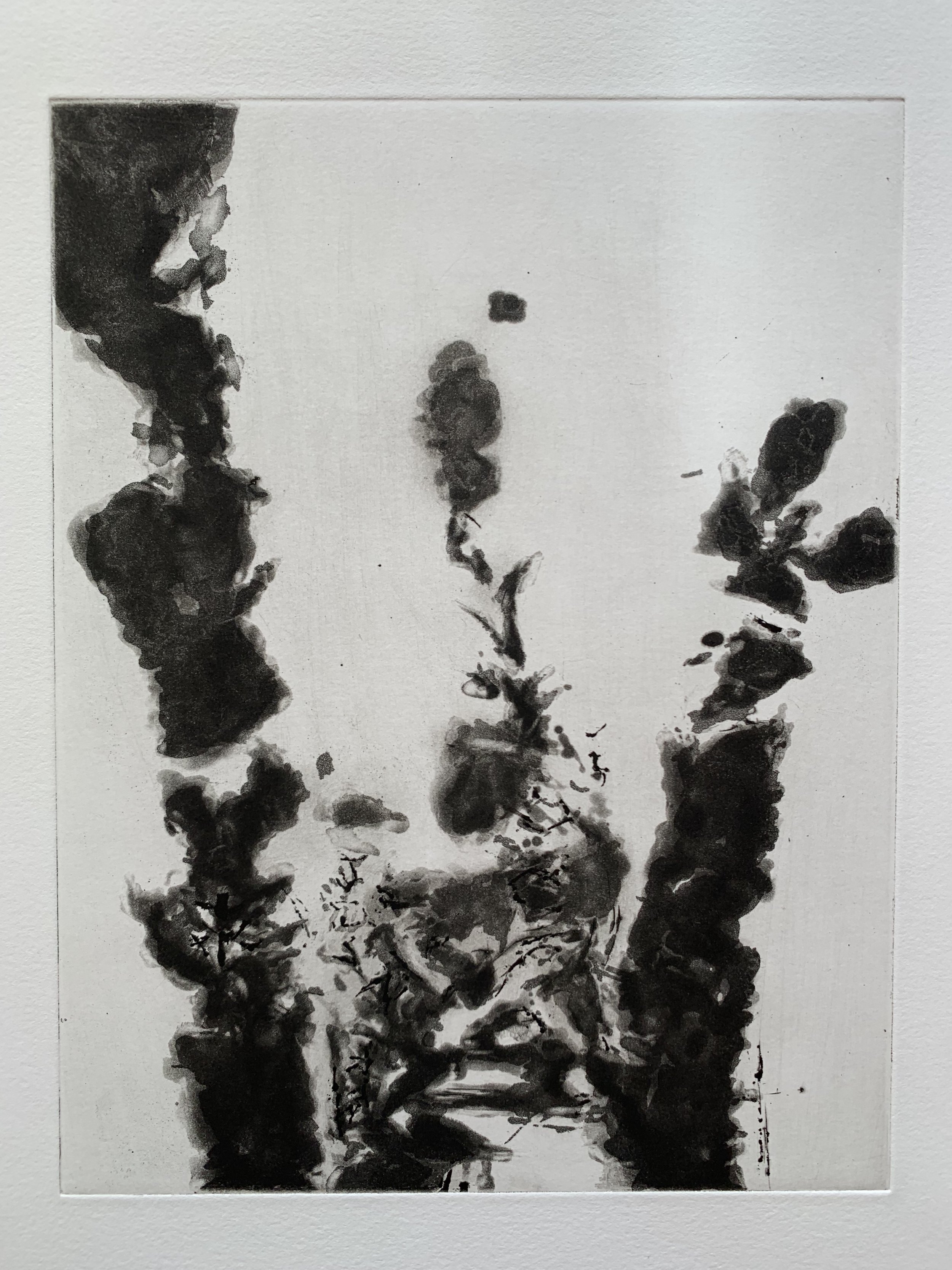 ZAO WOU-KI original lithograph