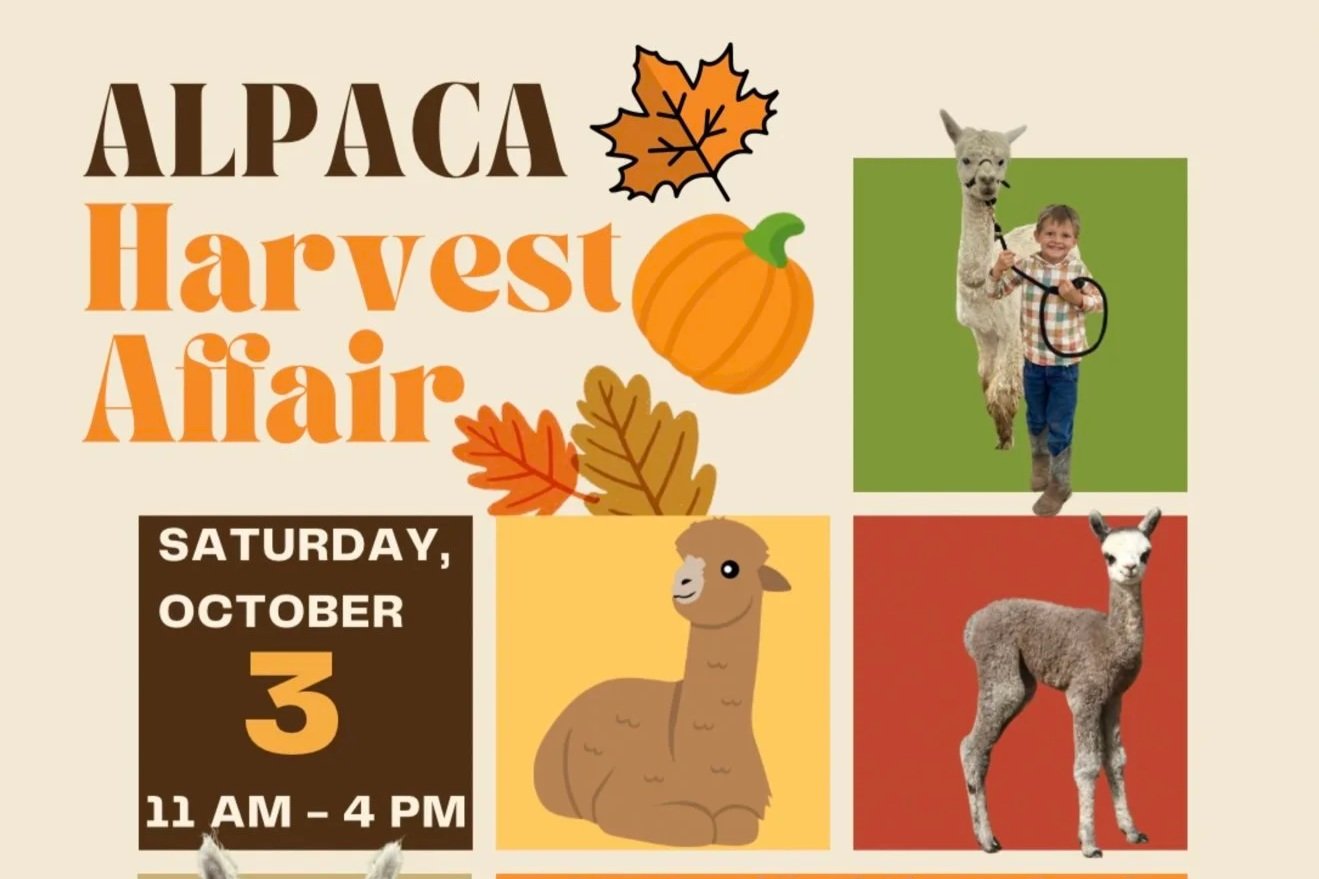 Alpaca Harvest Affair