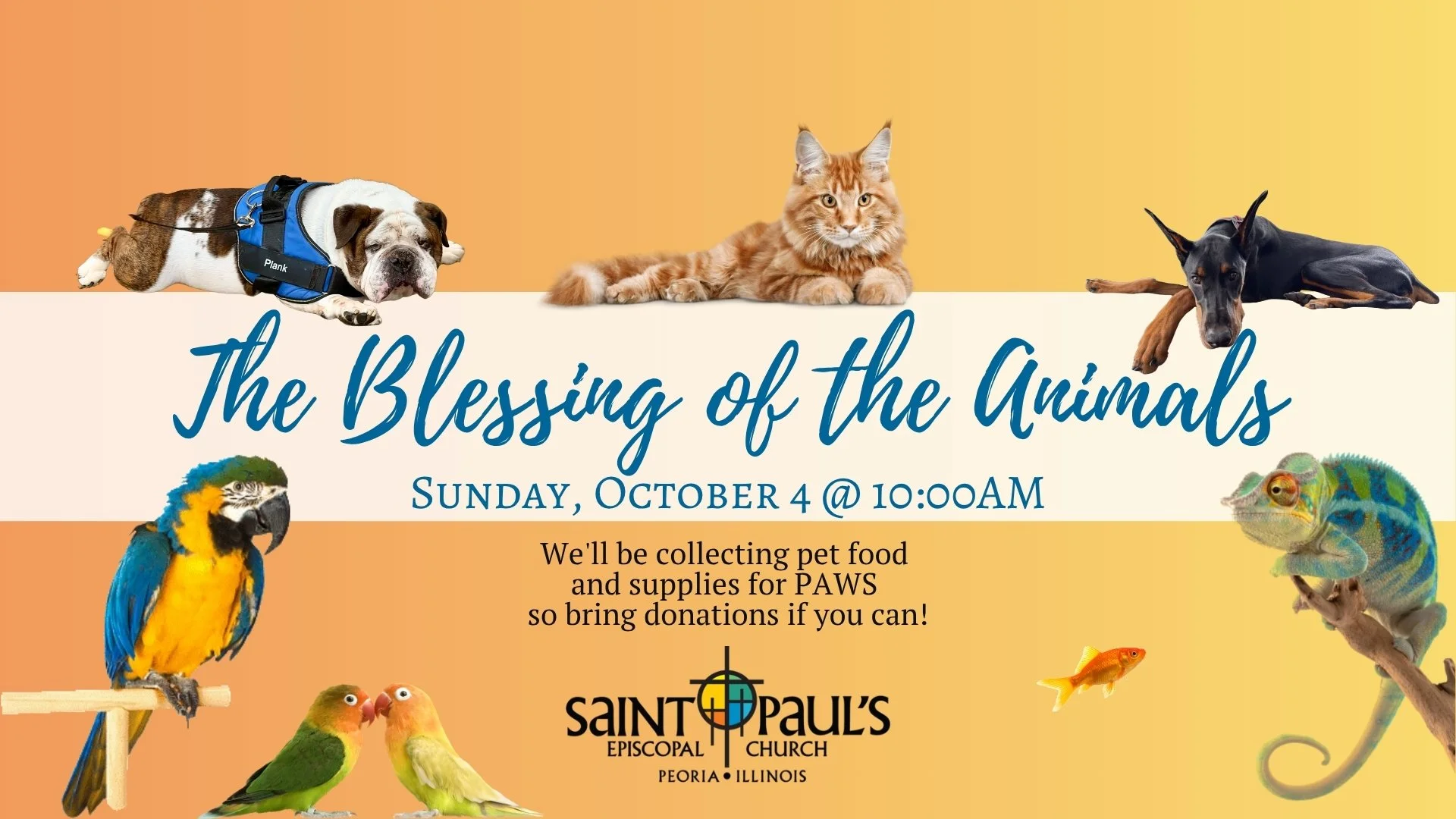 Blessing of the Animals