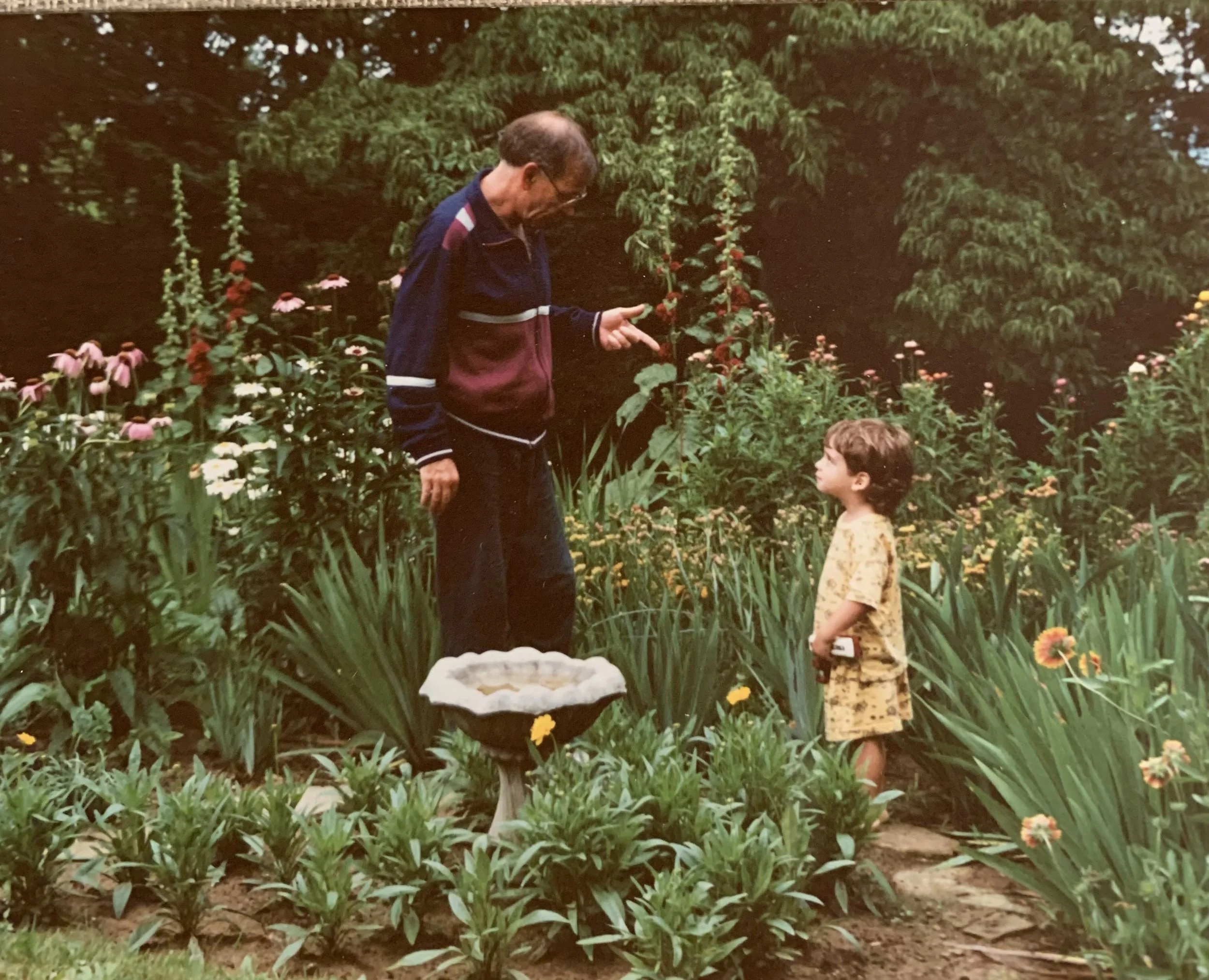 An older man with glasses wearing a dark jacket points at a young boy in a garden filled with various flowers, with greenery and trees in the background.