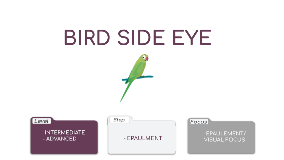 Bird Side Eye Video Card.png