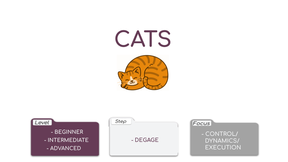Cats Video Card.png