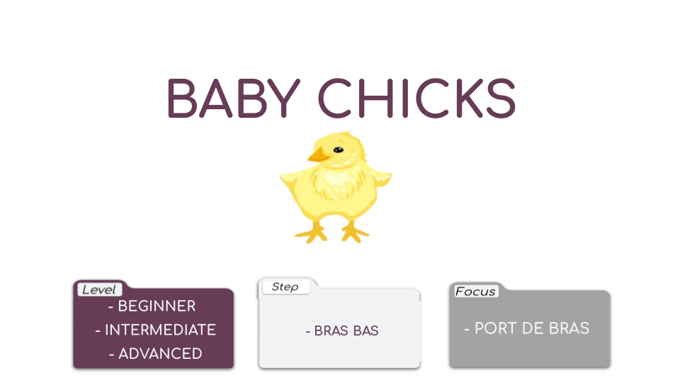 Baby Chicks Video Card.png