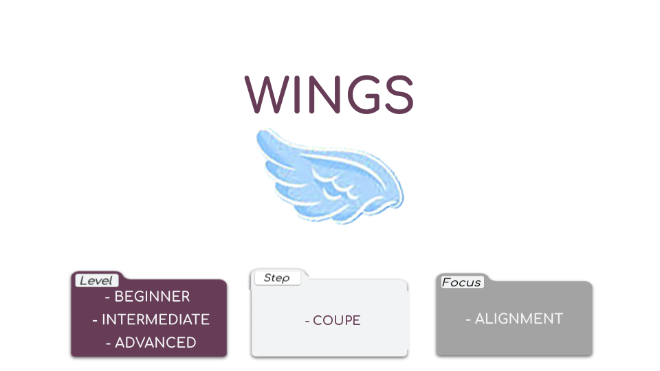 Wings Video Card.png
