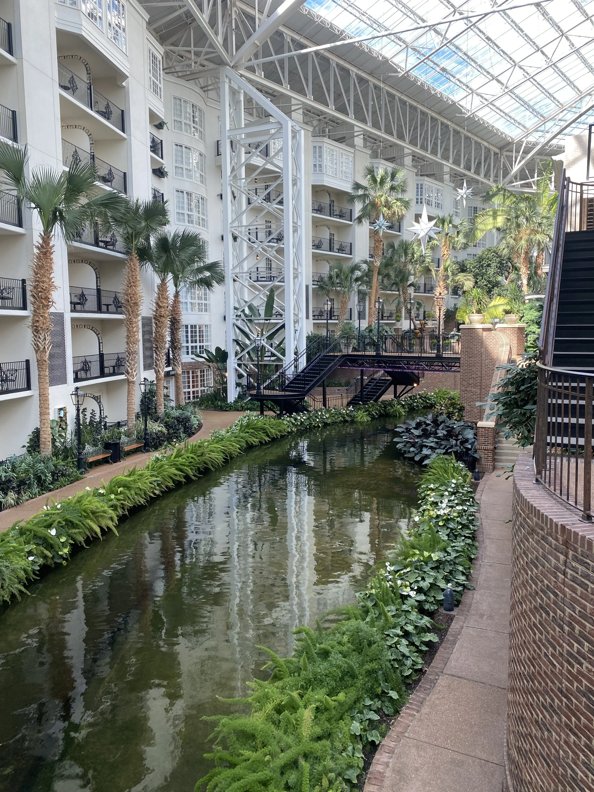 iPhone 11 Pro Max600.JPG