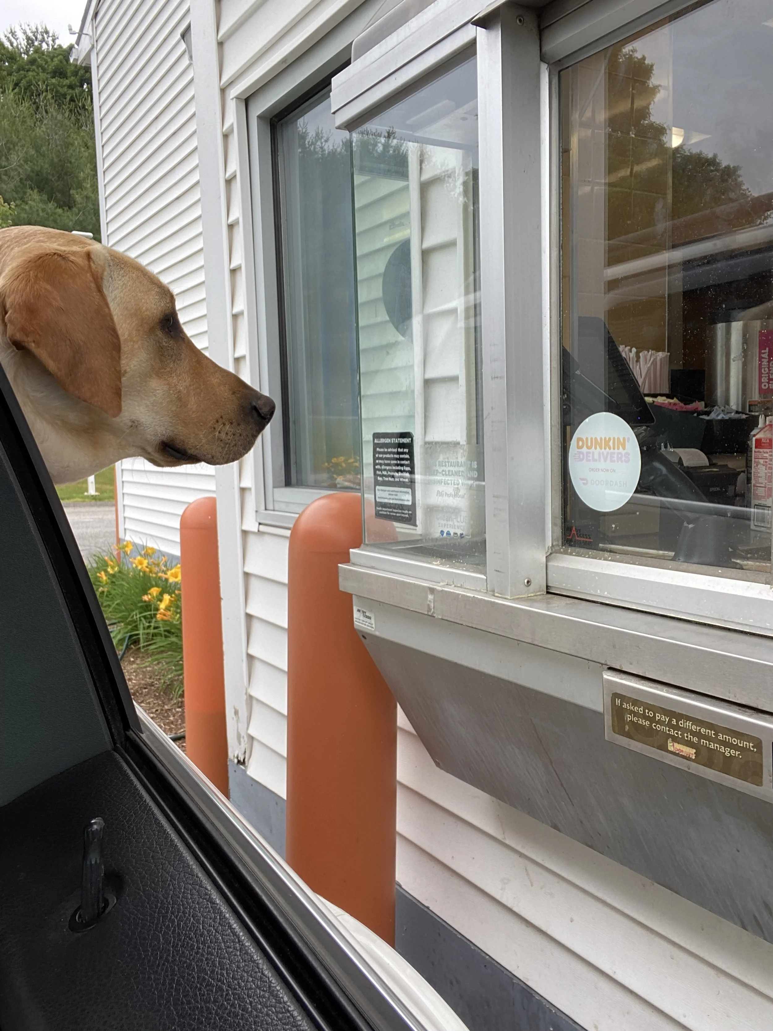 iPhone 11 Pro Max248.JPG