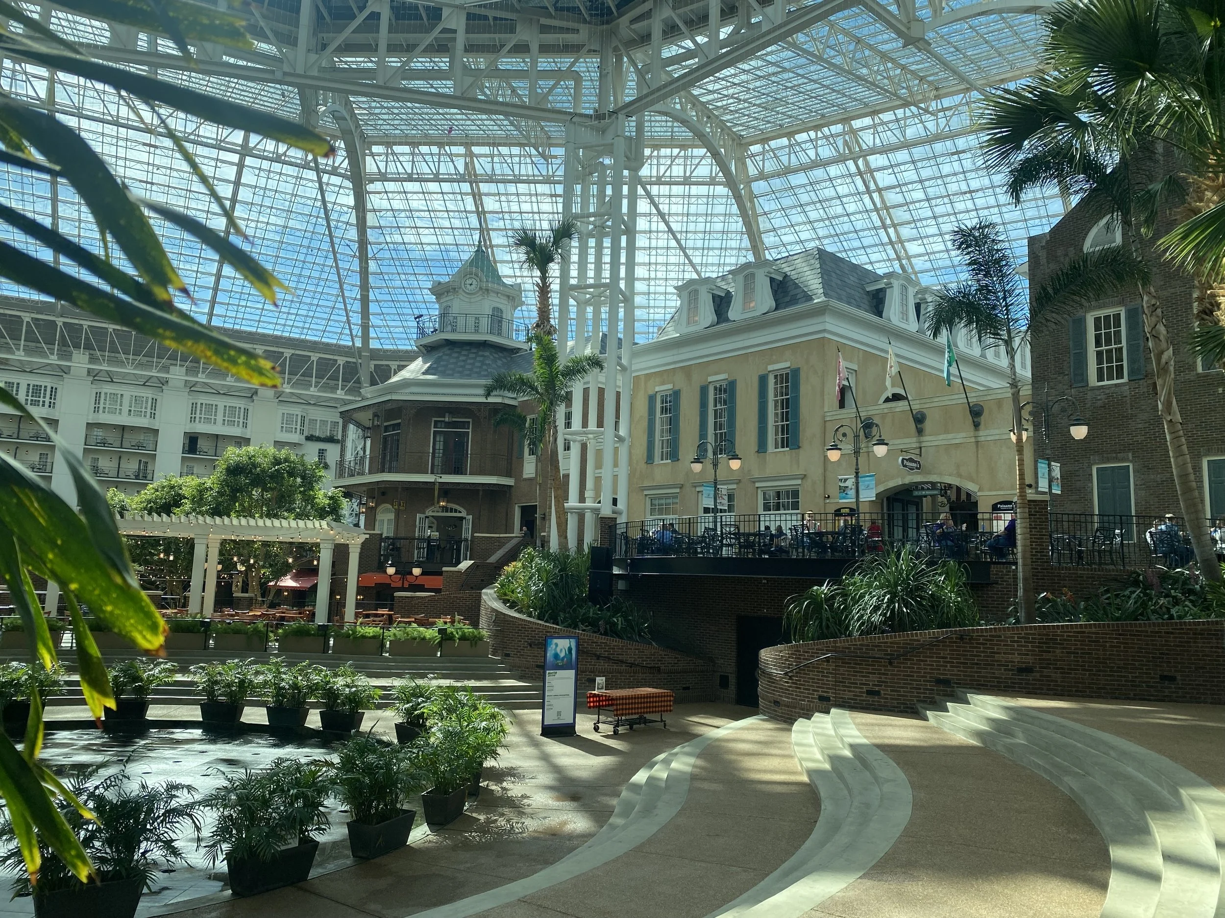 iPhone 11 Pro Max598.JPG