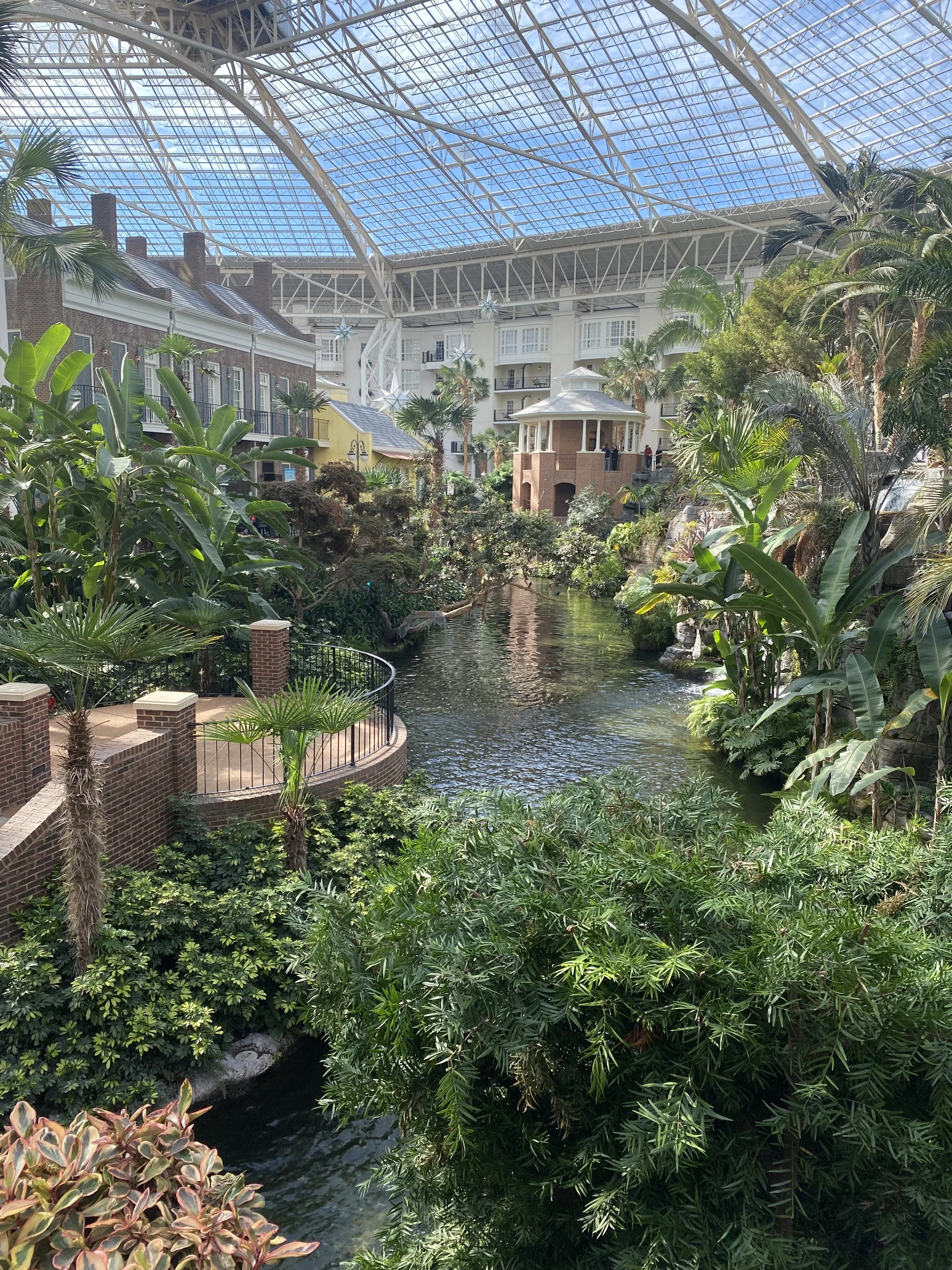 iPhone 11 Pro Max597.JPG