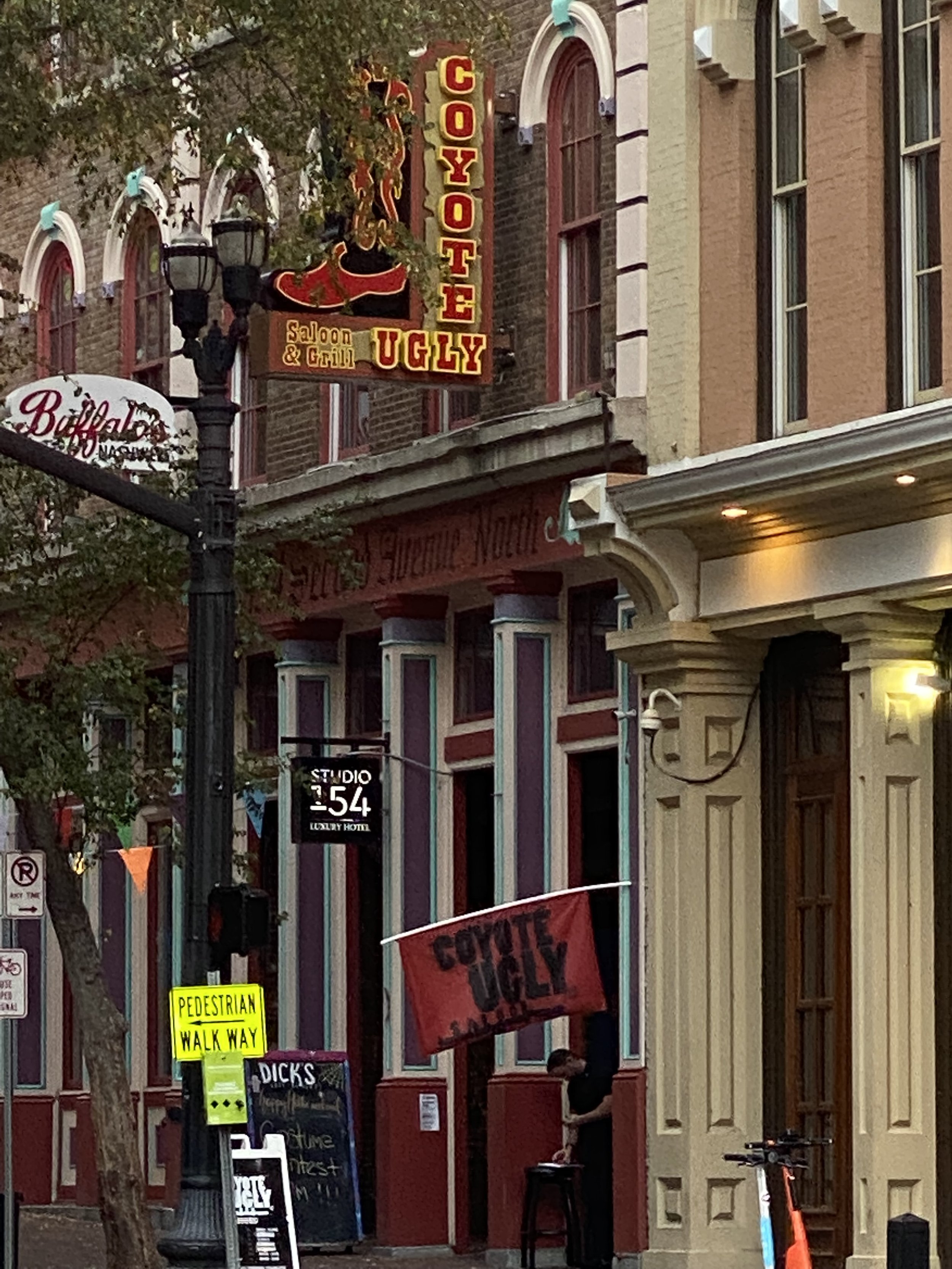 iPhone 11 Pro Max486.JPG