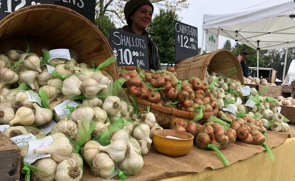 Garlic Festival