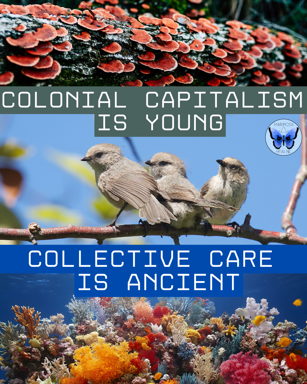 Digital Collage created for Stickers for Mutual Aid Efforts 