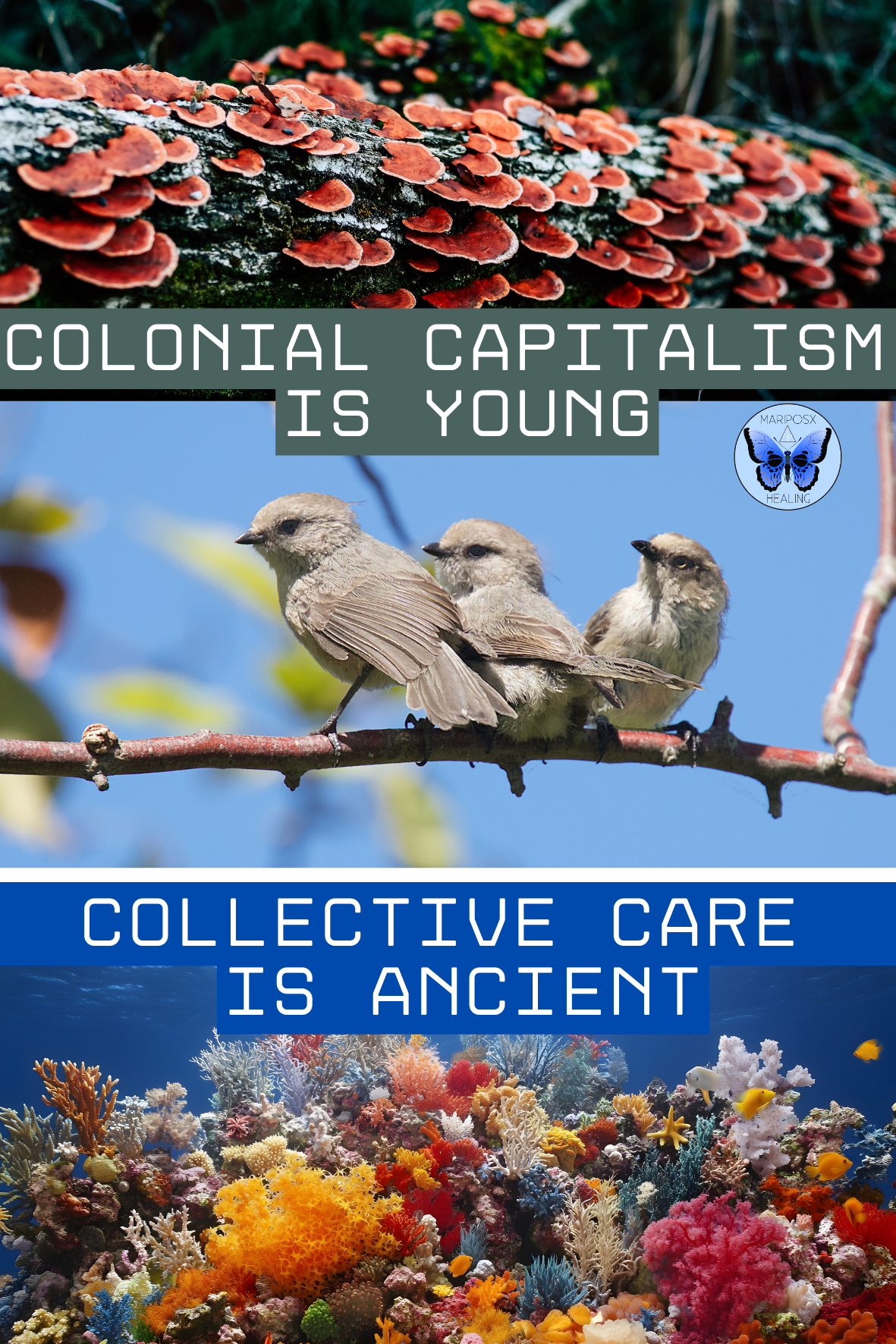 collective care to print  (Stickers (Rectangle) (Portrait)).png