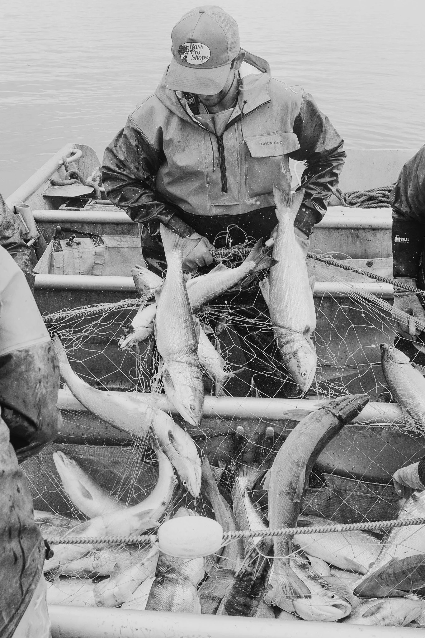 Wild-Caught Alaskan Sockeye Salmon (10 Pounds)