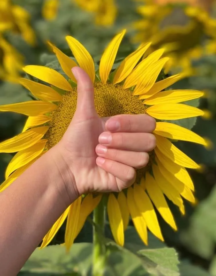 Simply Sunflower Thumbs Up